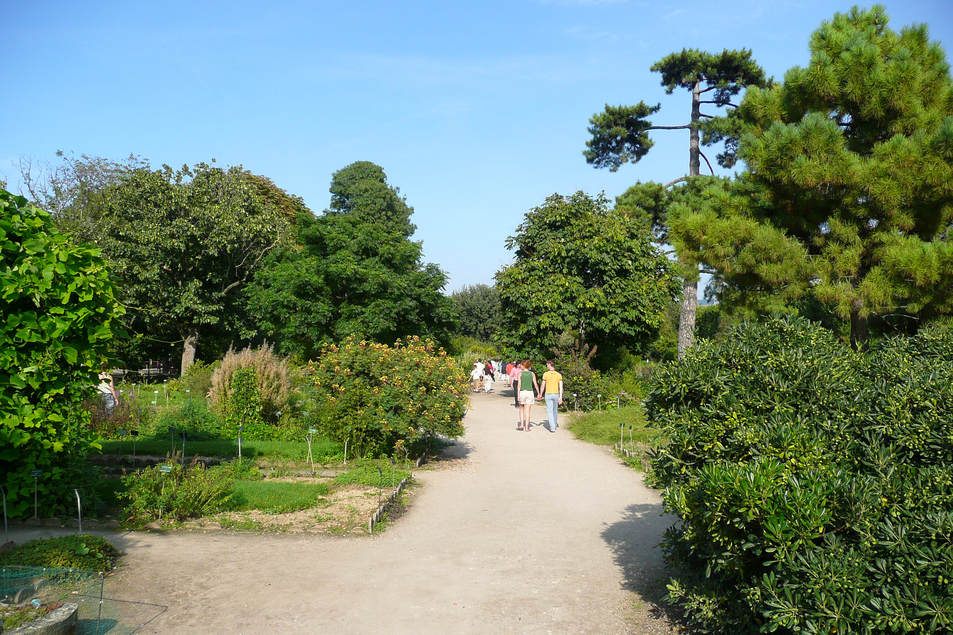 Picture France Paris Jardin des Plantes 2007-08 124 - History Jardin des Plantes