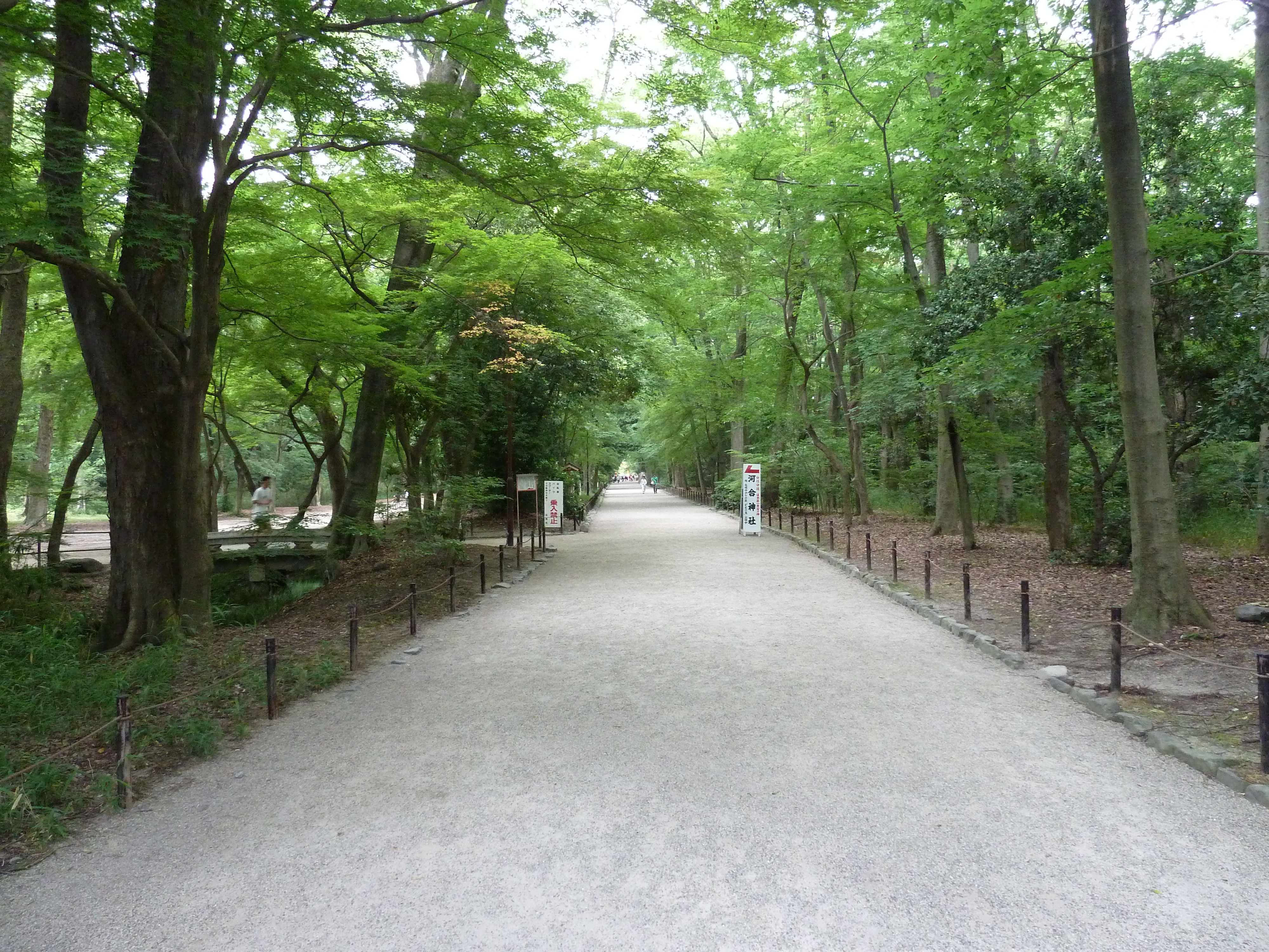 Picture Japan Kyoto Kamomioya Shrine(Shimogamo Shrine) 2010-06 31 - History Kamomioya Shrine(Shimogamo Shrine)