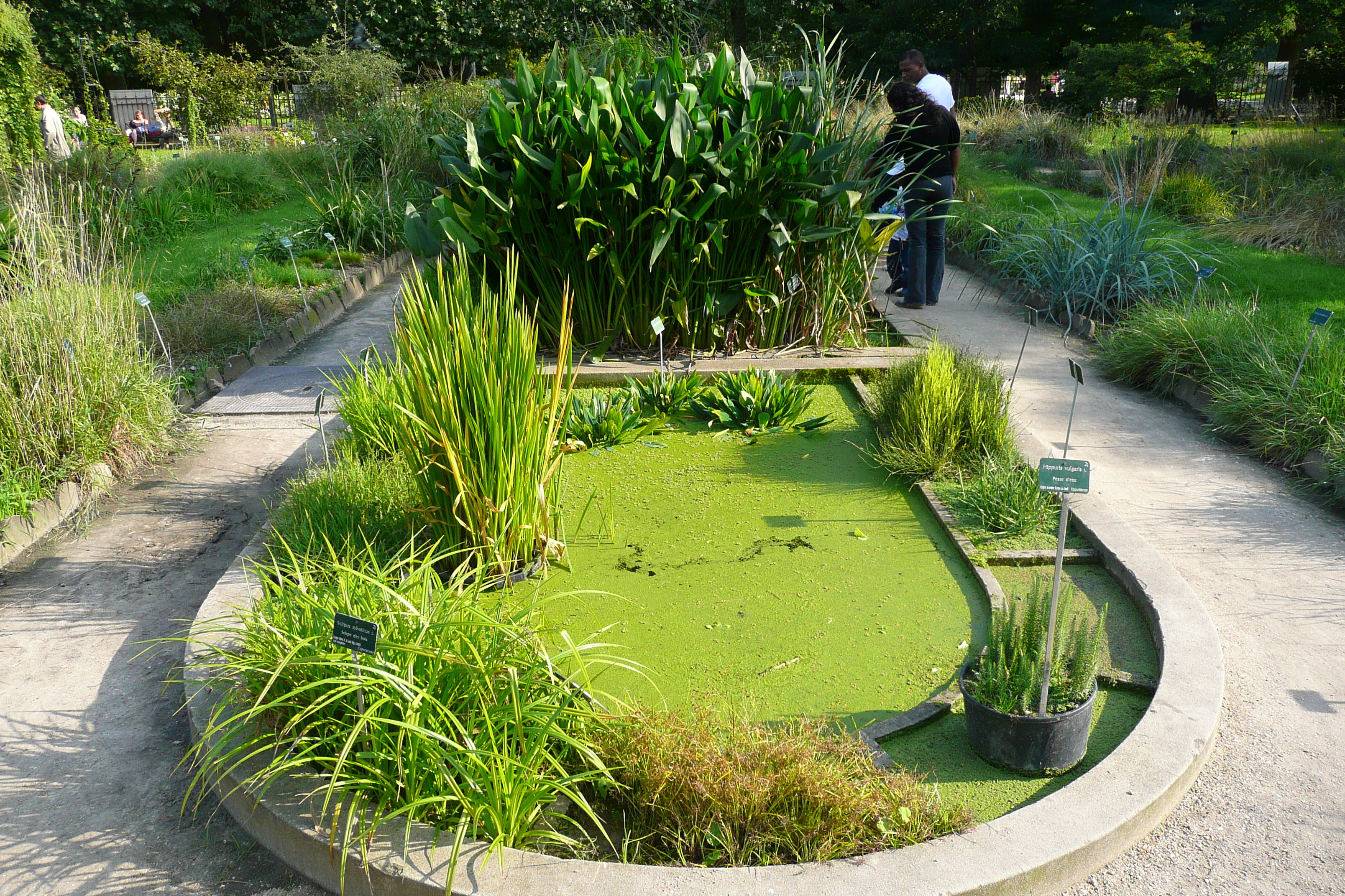 Picture France Paris Jardin des Plantes 2007-08 113 - Tours Jardin des Plantes