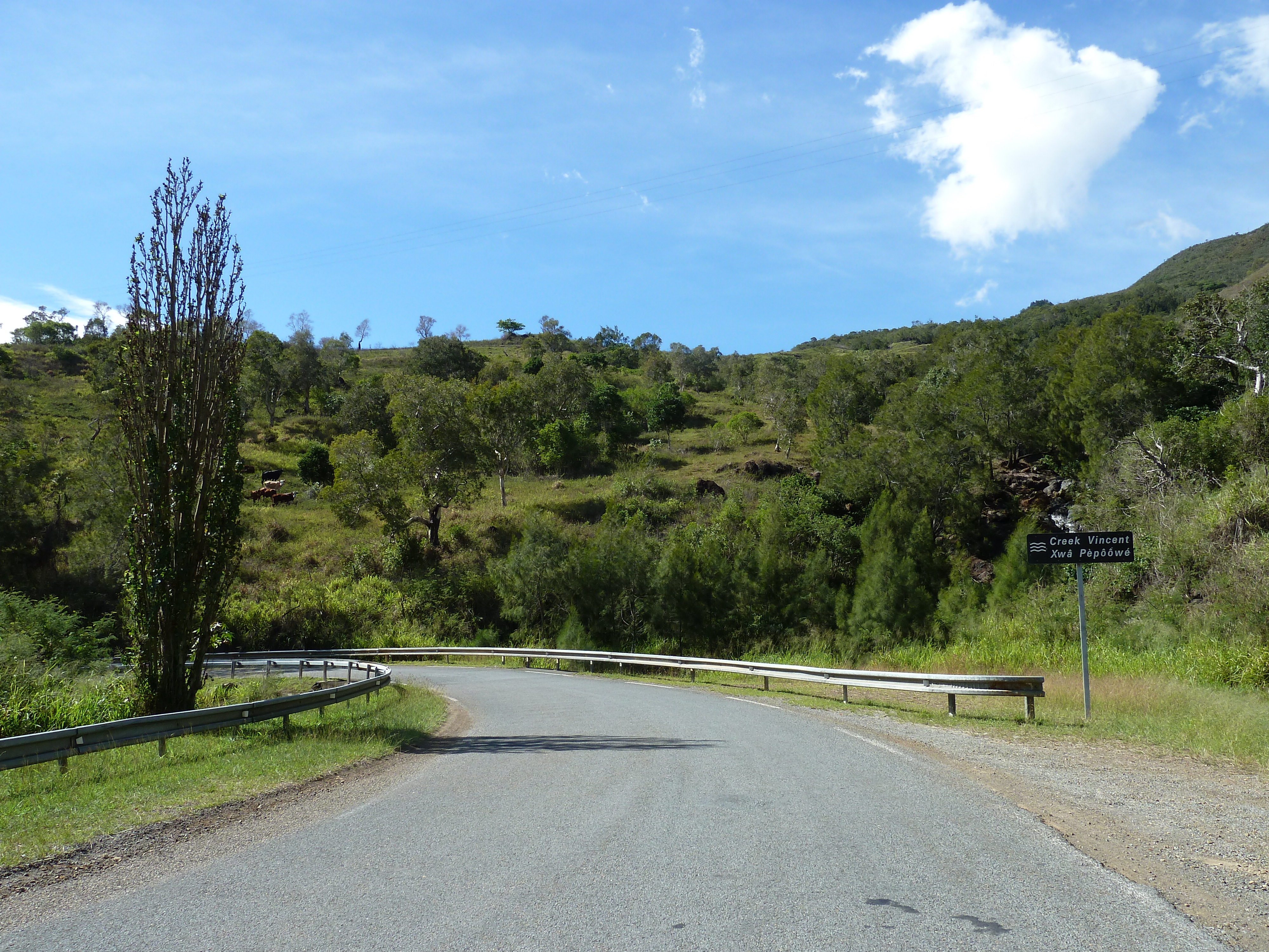 Picture New Caledonia Tontouta to Thio road 2010-05 14 - Tours Tontouta to Thio road