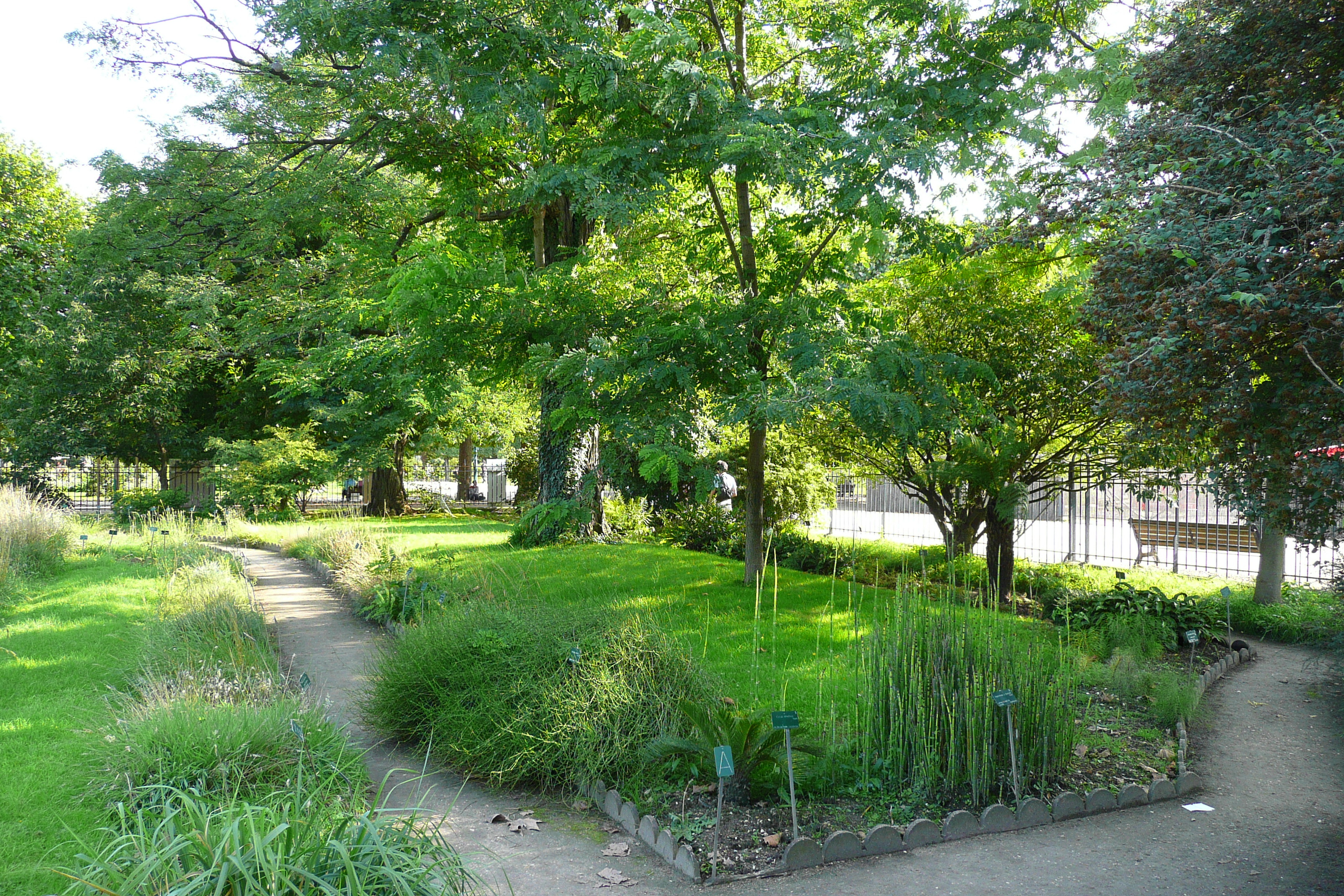 Picture France Paris Jardin des Plantes 2007-08 85 - Tour Jardin des Plantes