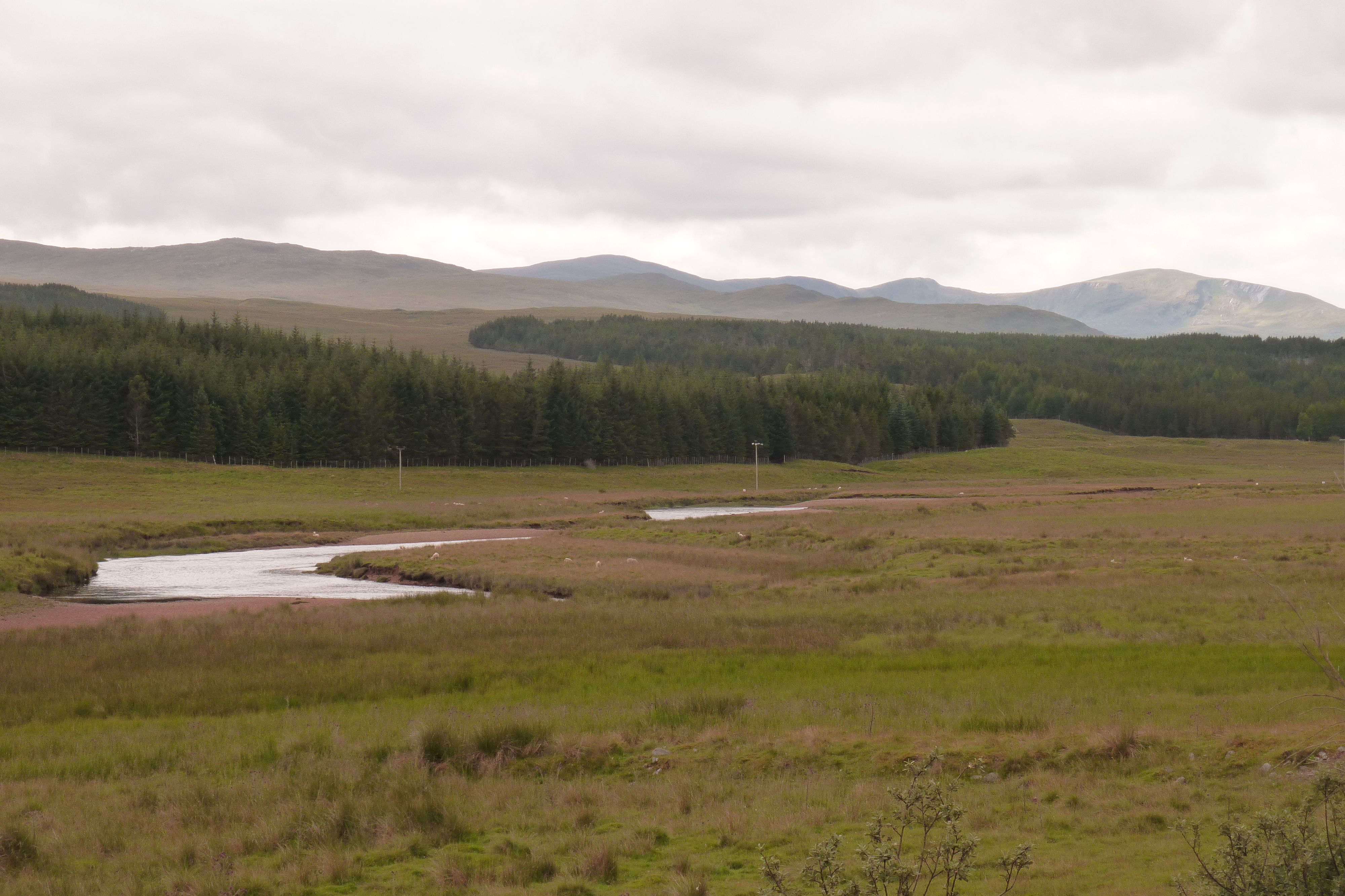 Picture United Kingdom Wester Ross 2011-07 107 - Tour Wester Ross