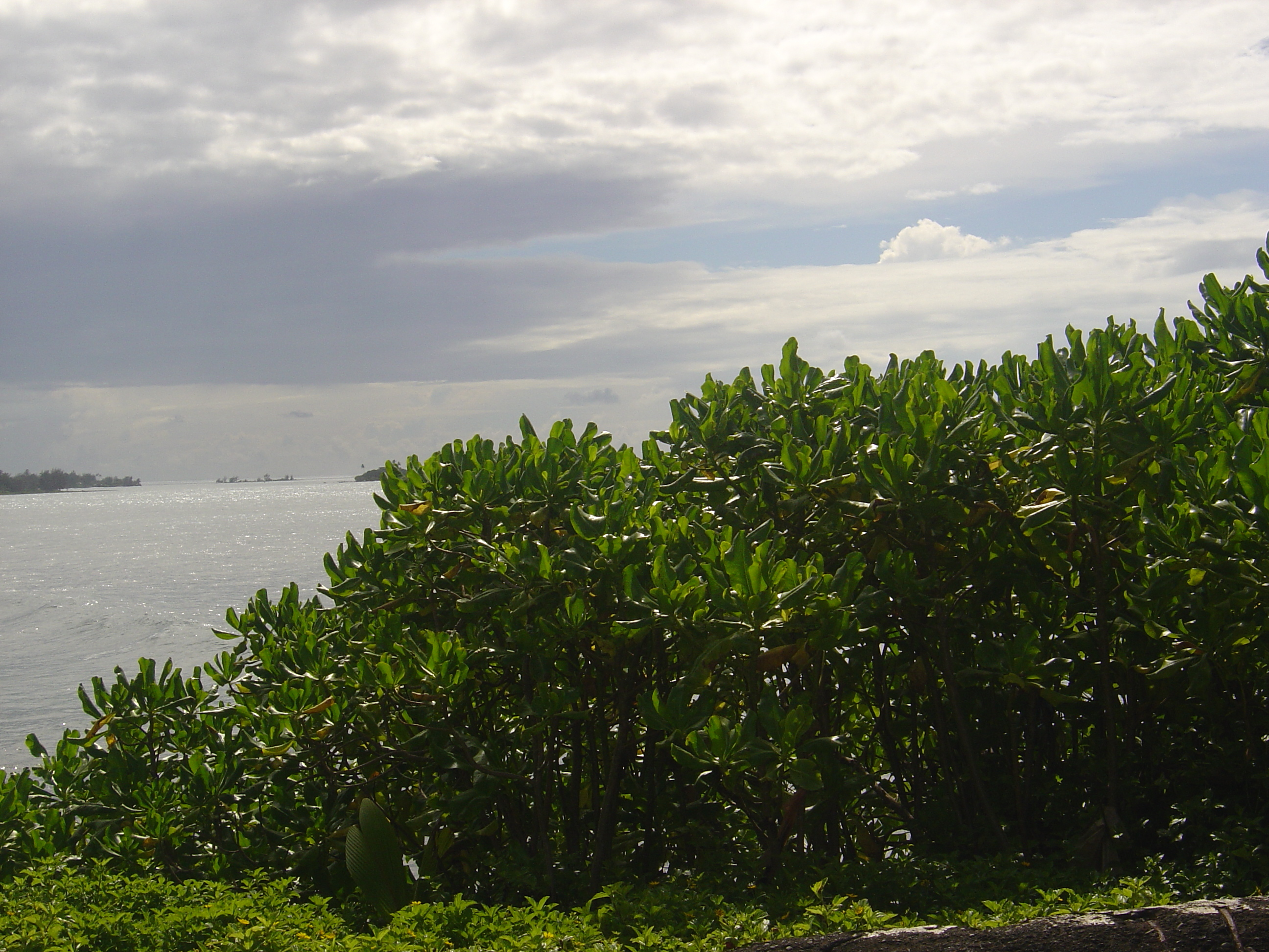 Picture Polynesia Tahiti 2006-04 7 - Around Tahiti