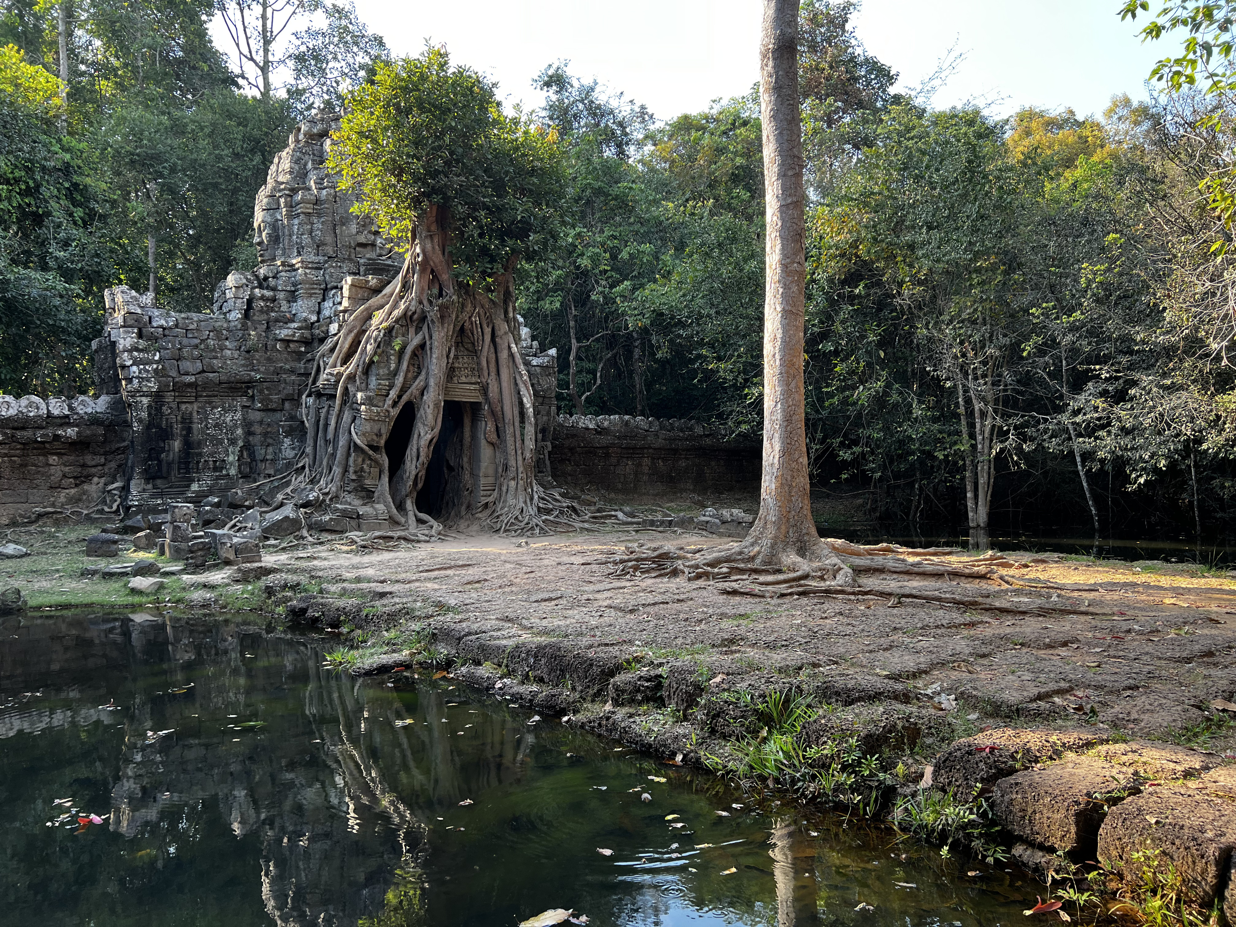 Picture Cambodia Siem Reap Ta Som 2023-01 3 - Tour Ta Som