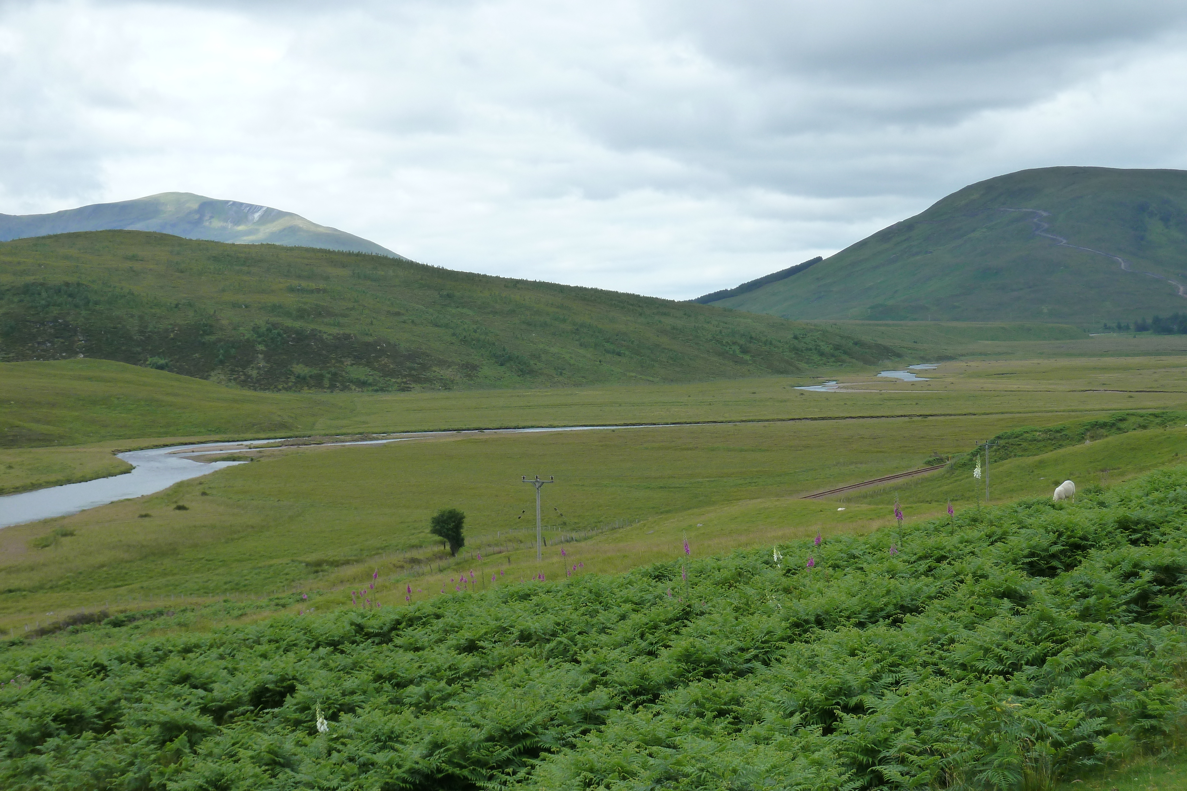 Picture United Kingdom Wester Ross 2011-07 156 - Discovery Wester Ross