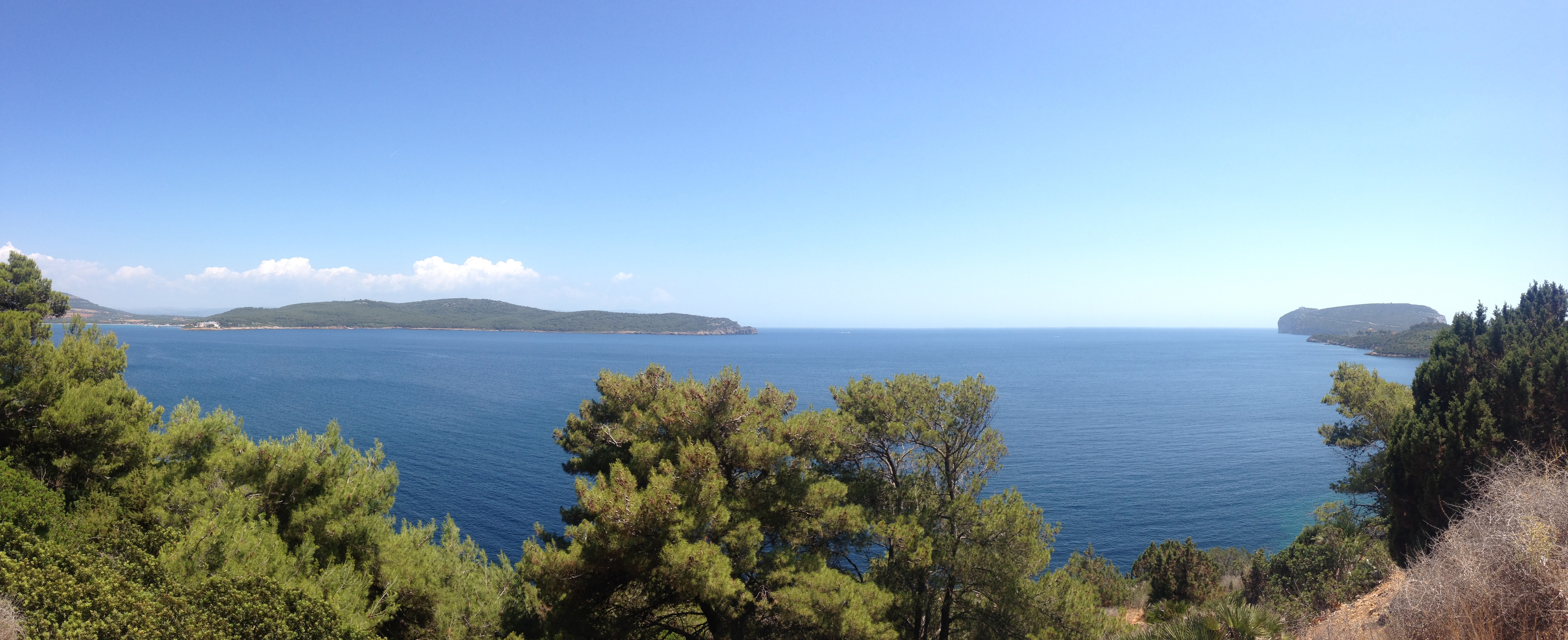 Picture Italy Sardinia Porto Conte Regional Natural Park 2015-06 22 - Discovery Porto Conte Regional Natural Park