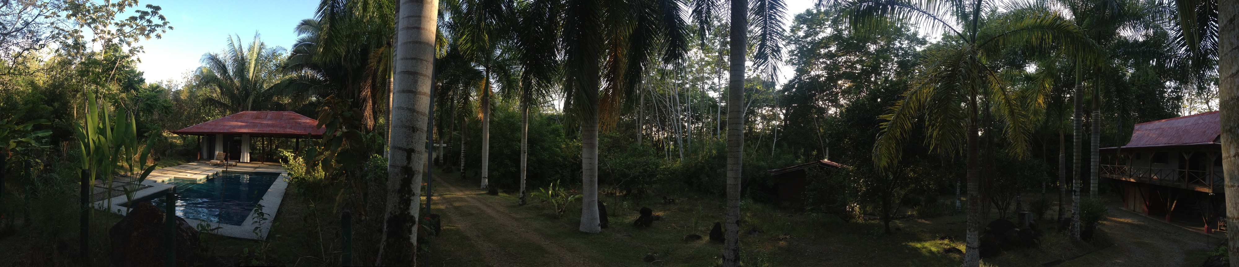 Picture Costa Rica Uvita 2015-03 69 - Around Uvita