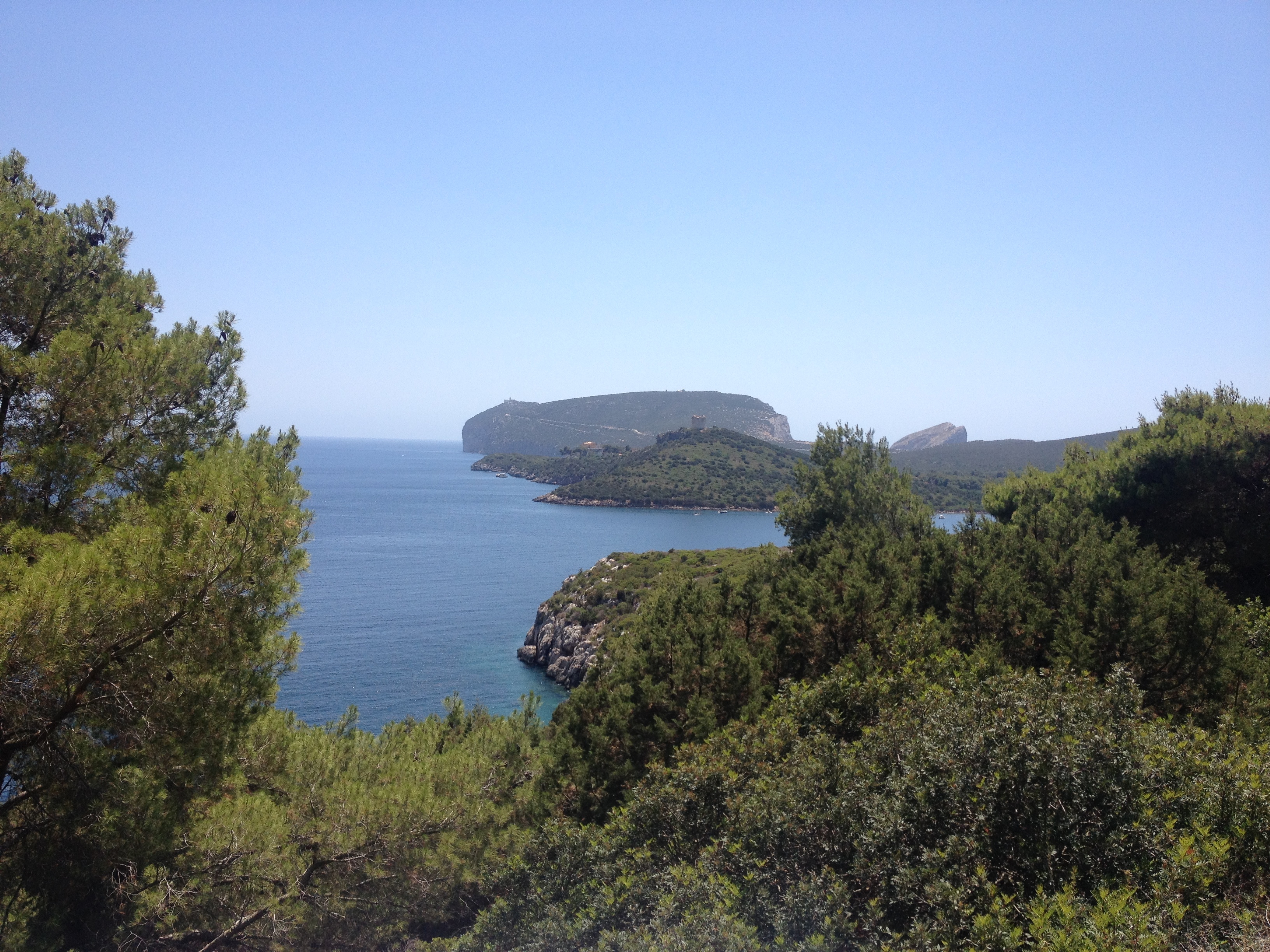 Picture Italy Sardinia Porto Conte Regional Natural Park 2015-06 26 - Tour Porto Conte Regional Natural Park