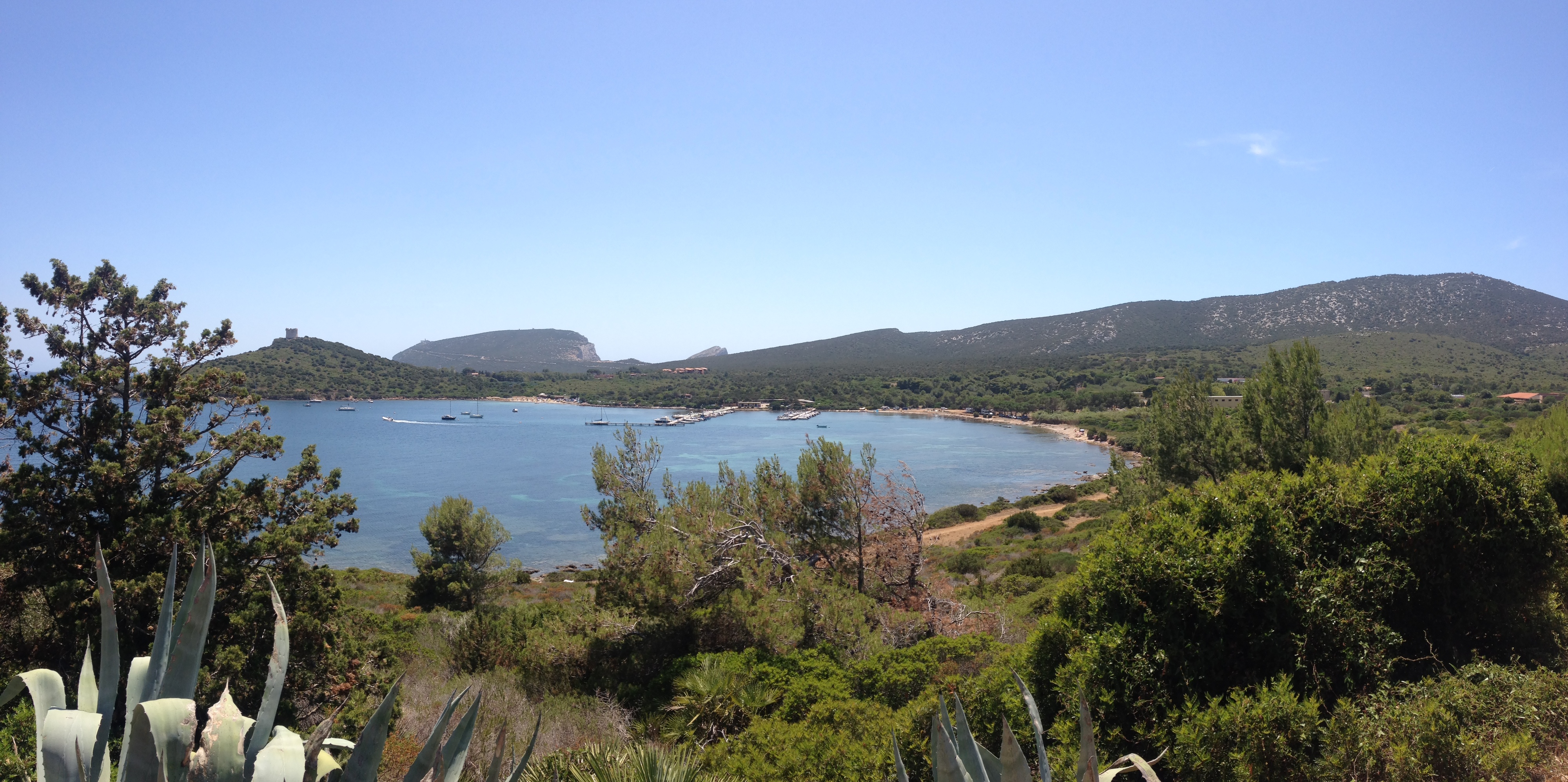 Picture Italy Sardinia Porto Conte Regional Natural Park 2015-06 25 - Discovery Porto Conte Regional Natural Park