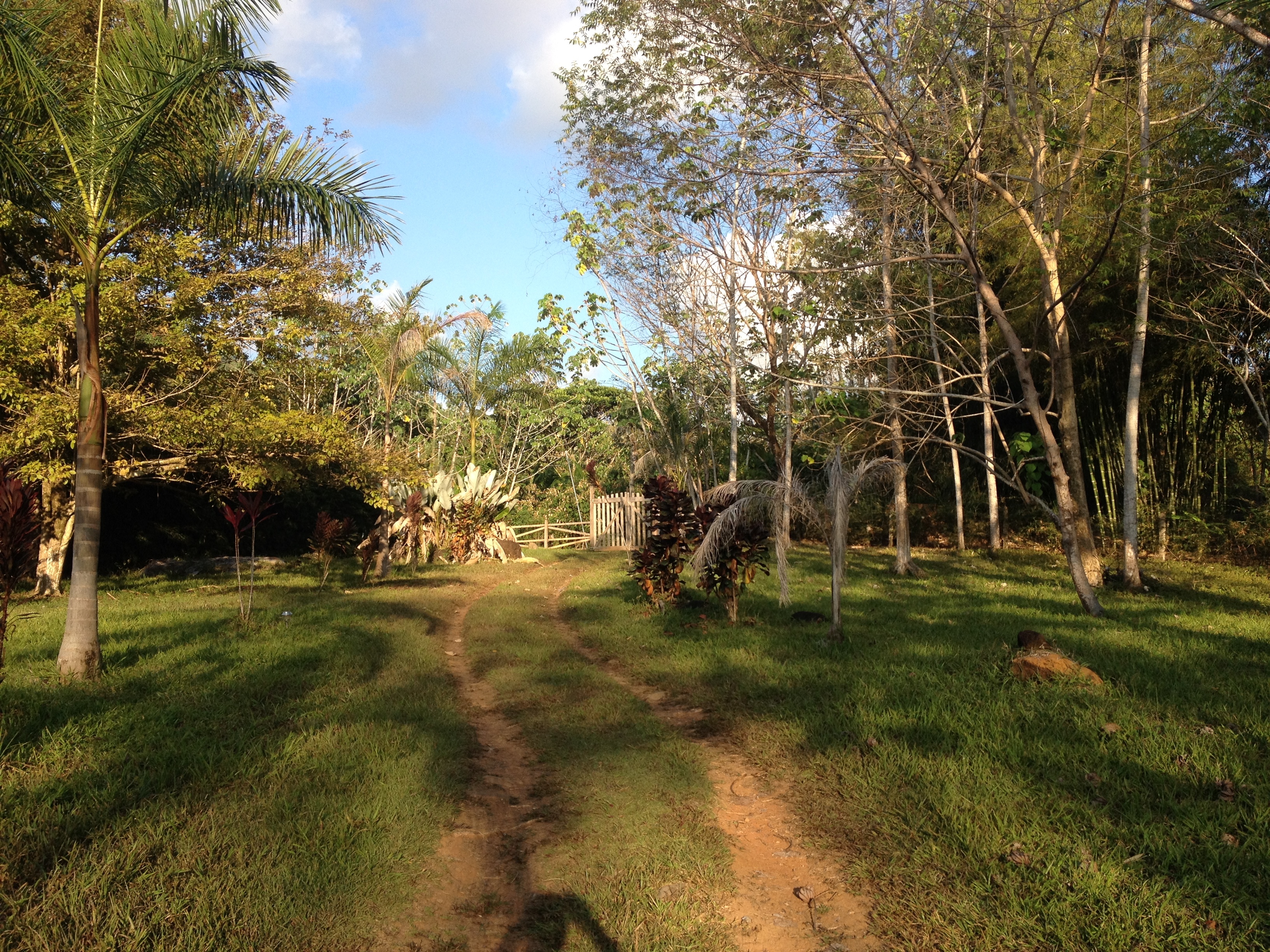 Picture Costa Rica Uvita 2015-03 62 - Around Uvita