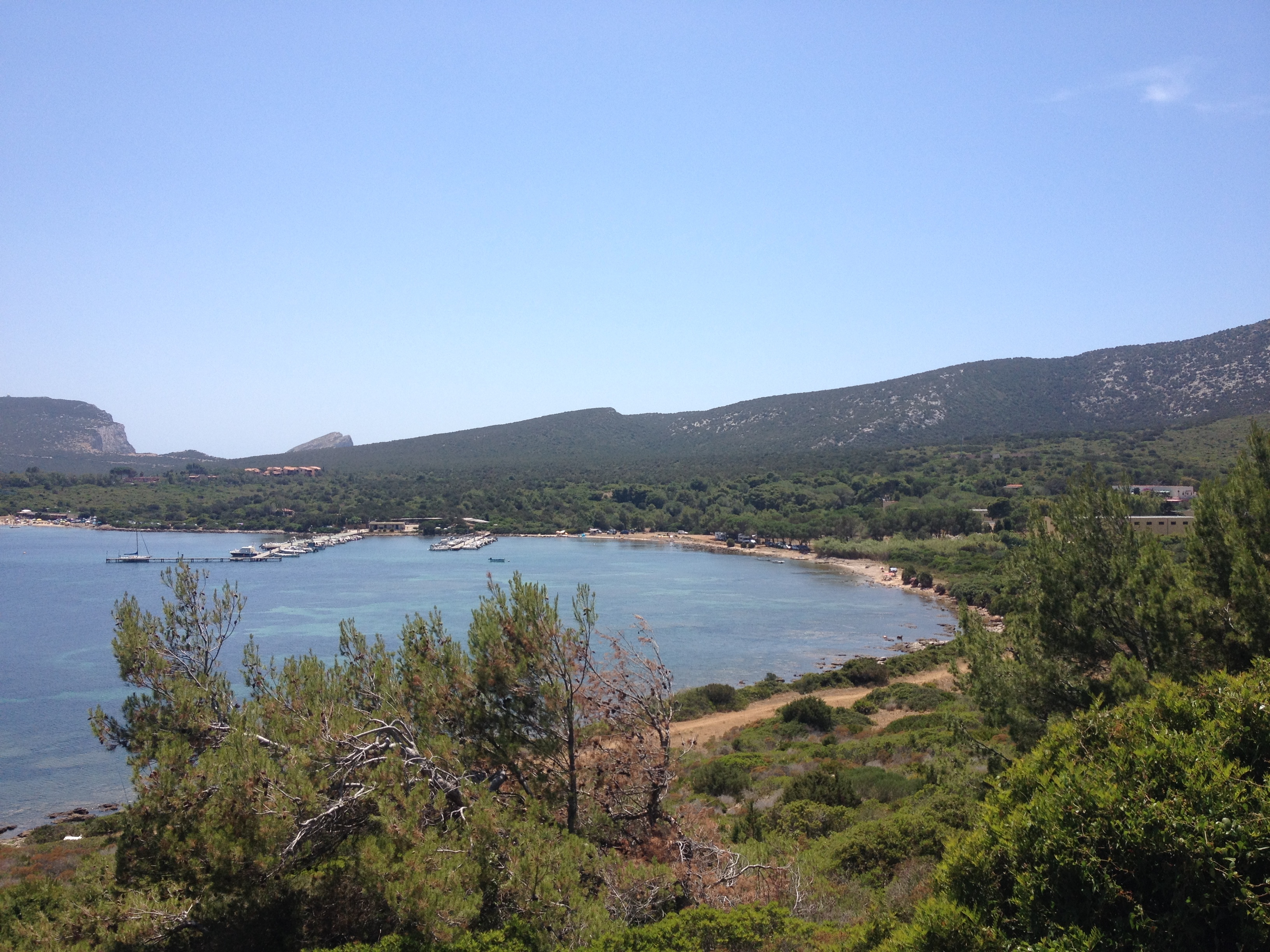 Picture Italy Sardinia Porto Conte Regional Natural Park 2015-06 29 - Center Porto Conte Regional Natural Park