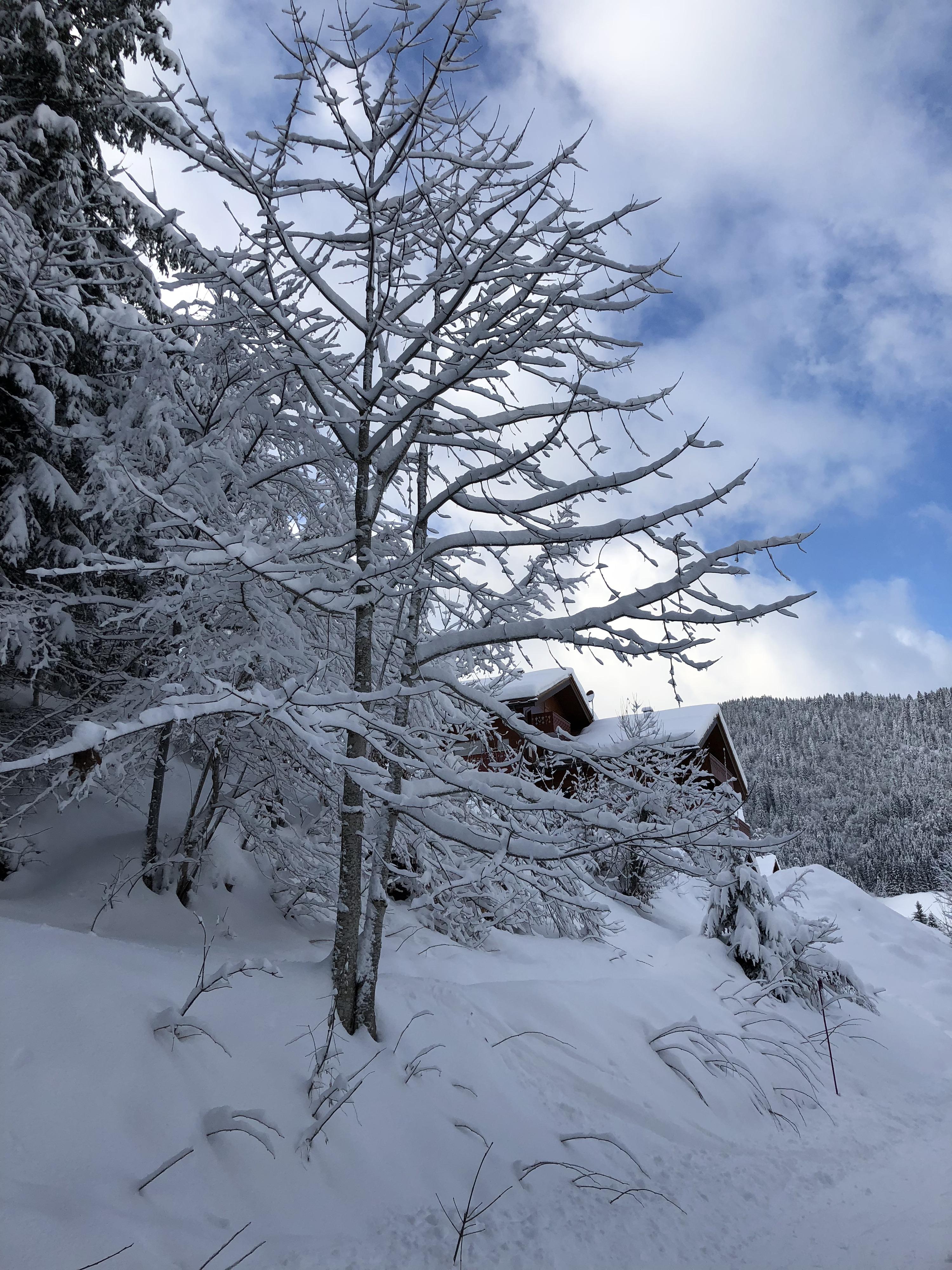 Picture France La Clusaz 2017-12 187 - Recreation La Clusaz