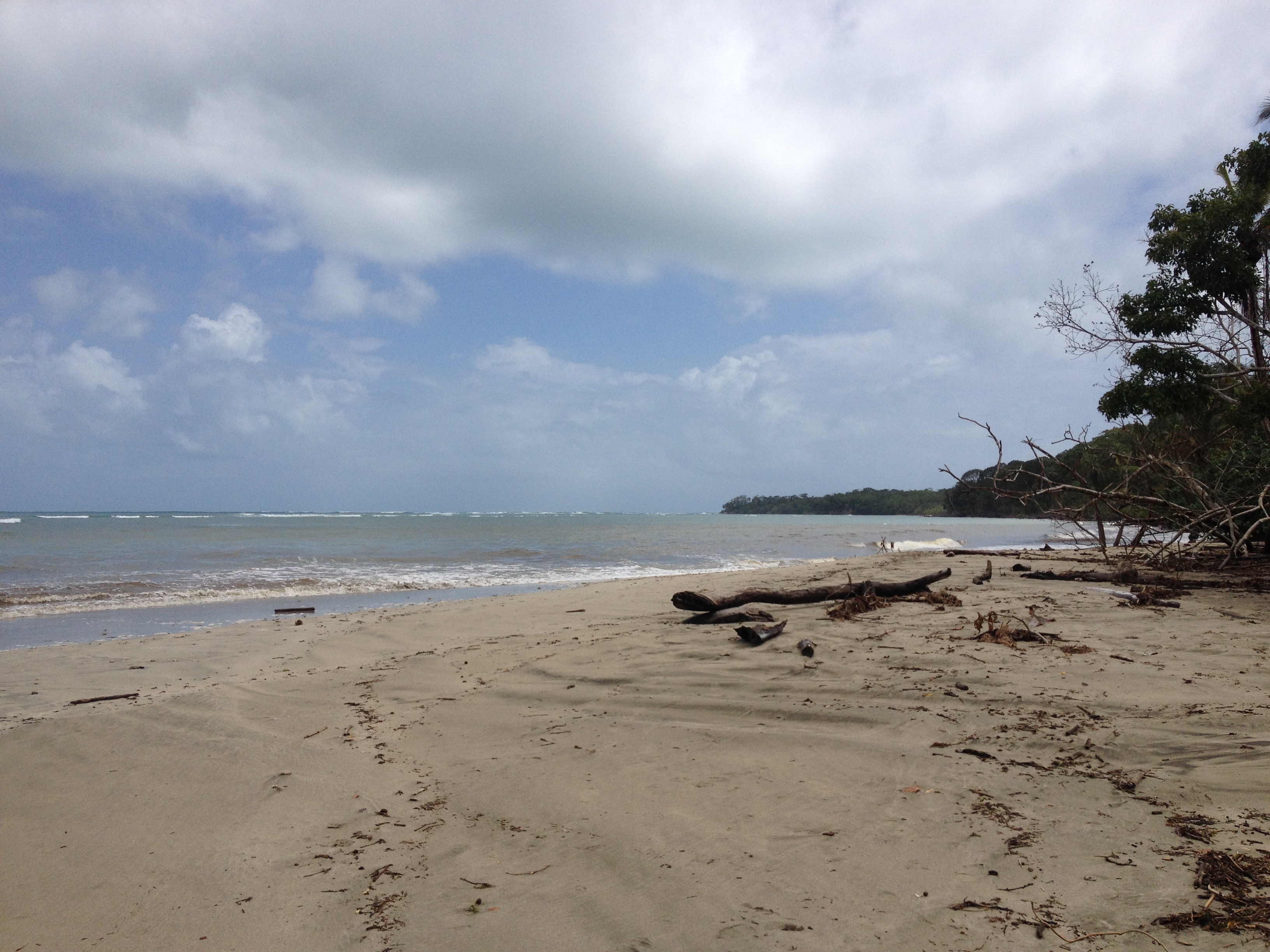 Picture Costa Rica Cahuita 2015-03 149 - Discovery Cahuita