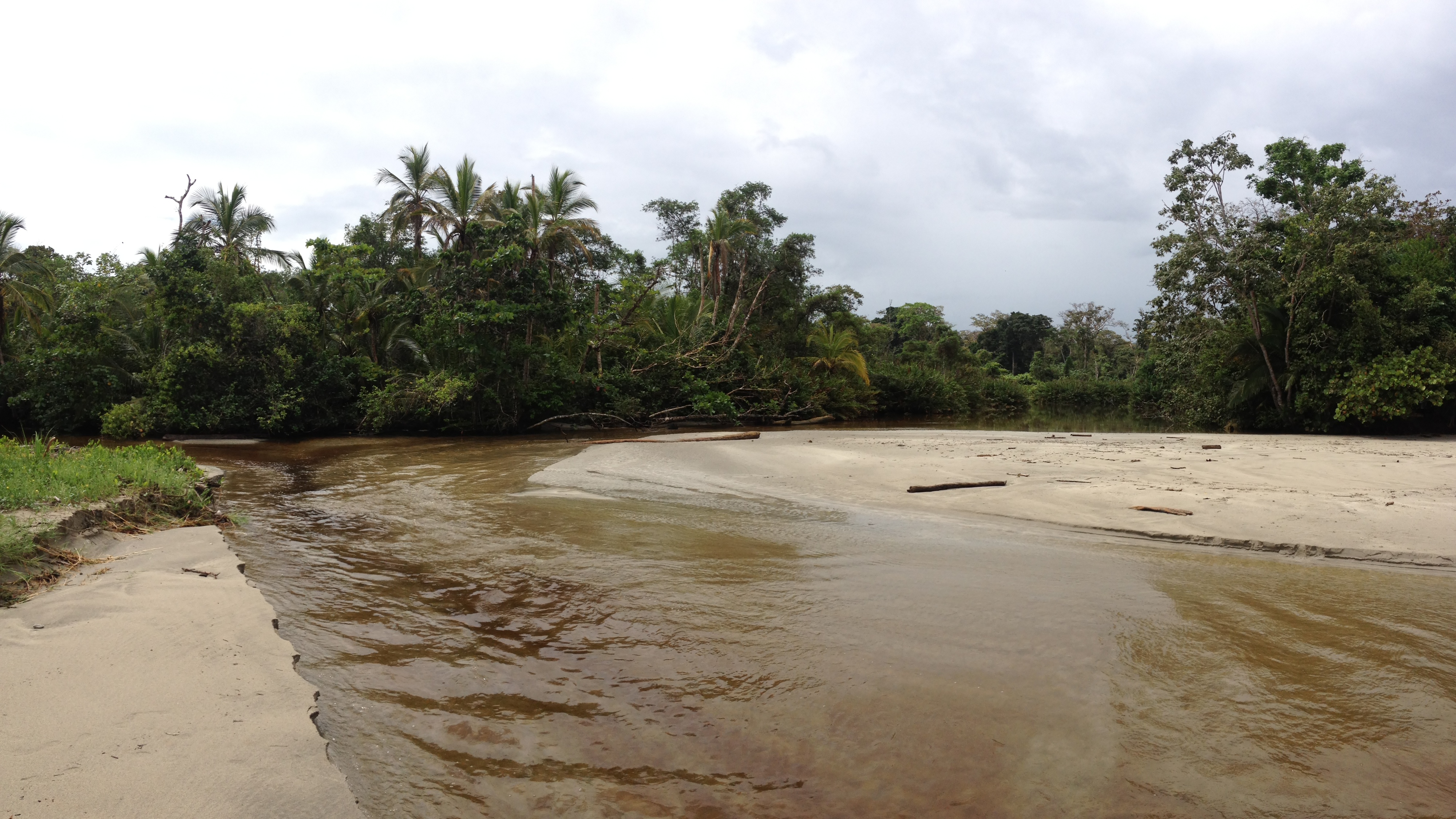 Picture Costa Rica Cahuita 2015-03 136 - Discovery Cahuita