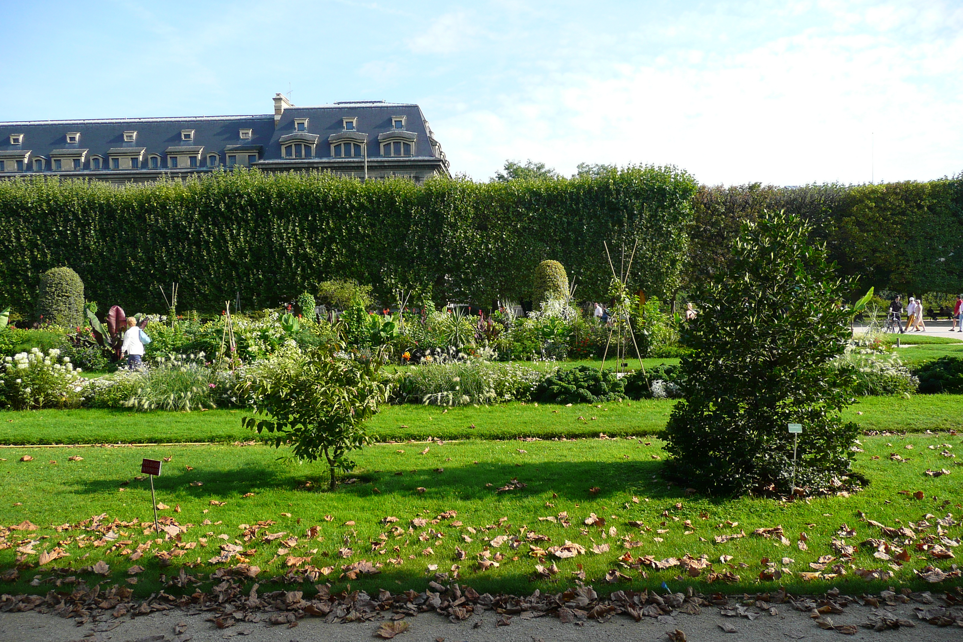 Picture France Paris Jardin des Plantes 2007-08 138 - Tours Jardin des Plantes