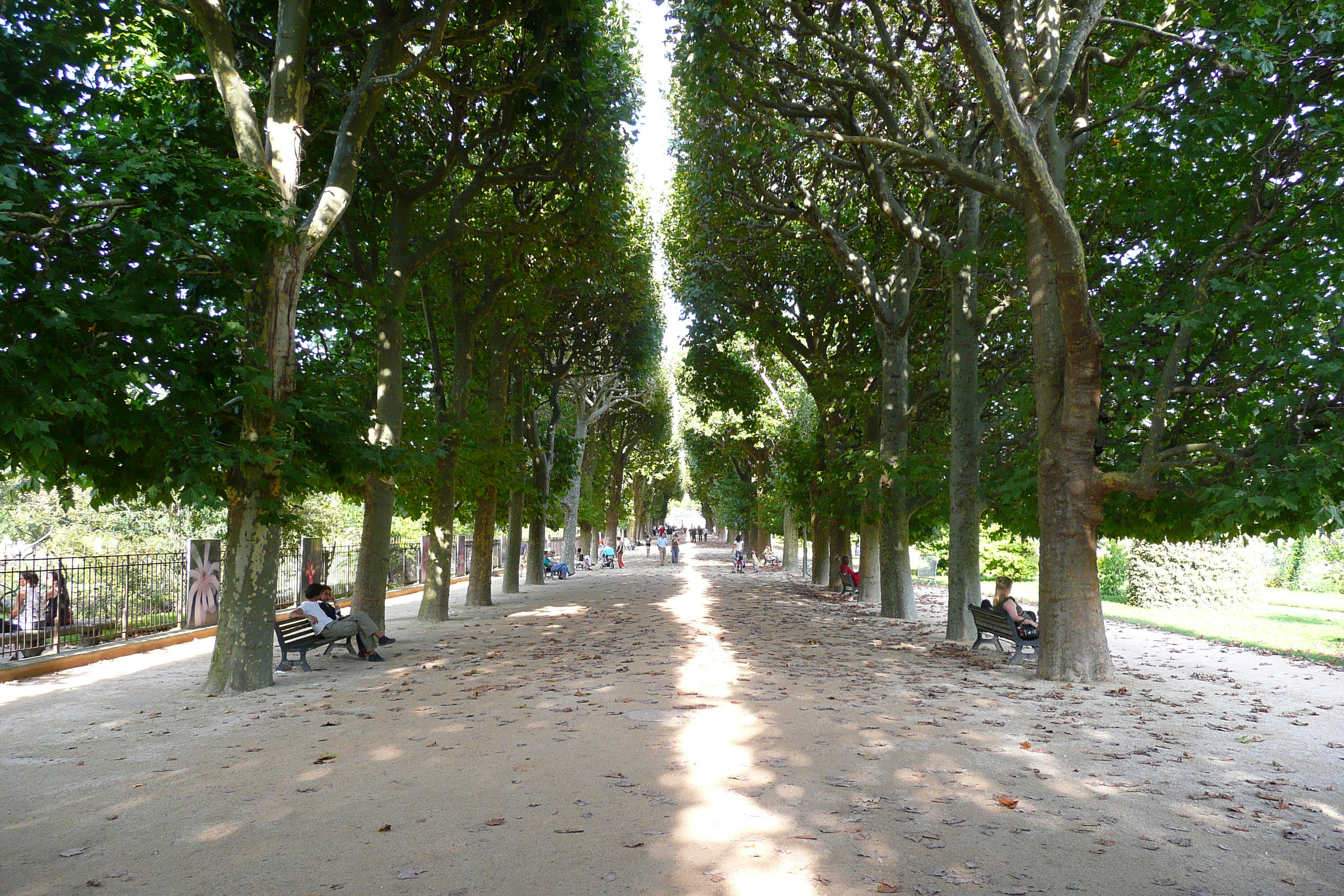 Picture France Paris Jardin des Plantes 2007-08 158 - Tours Jardin des Plantes