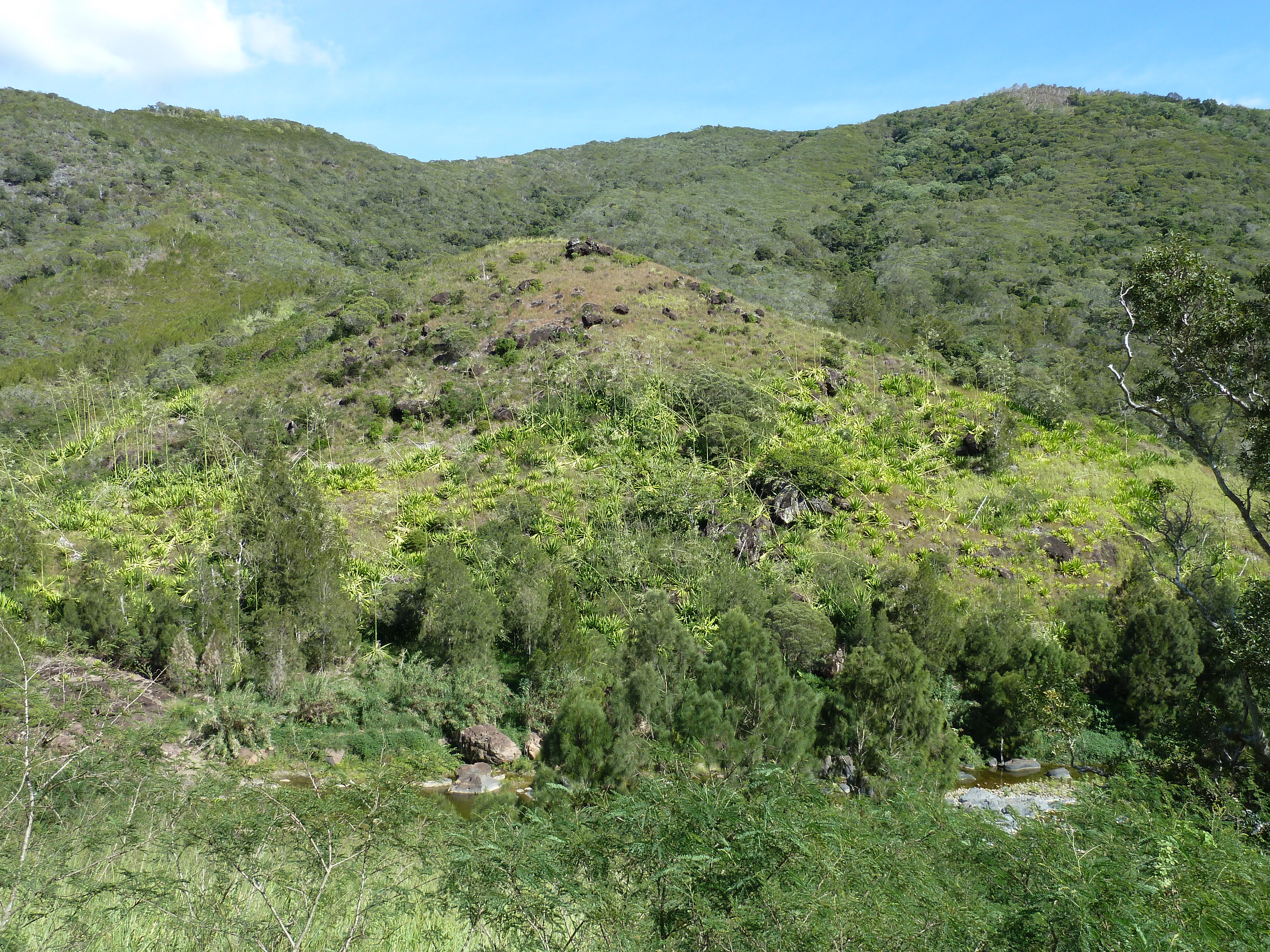 Picture New Caledonia 2010-05 15 - Around New Caledonia