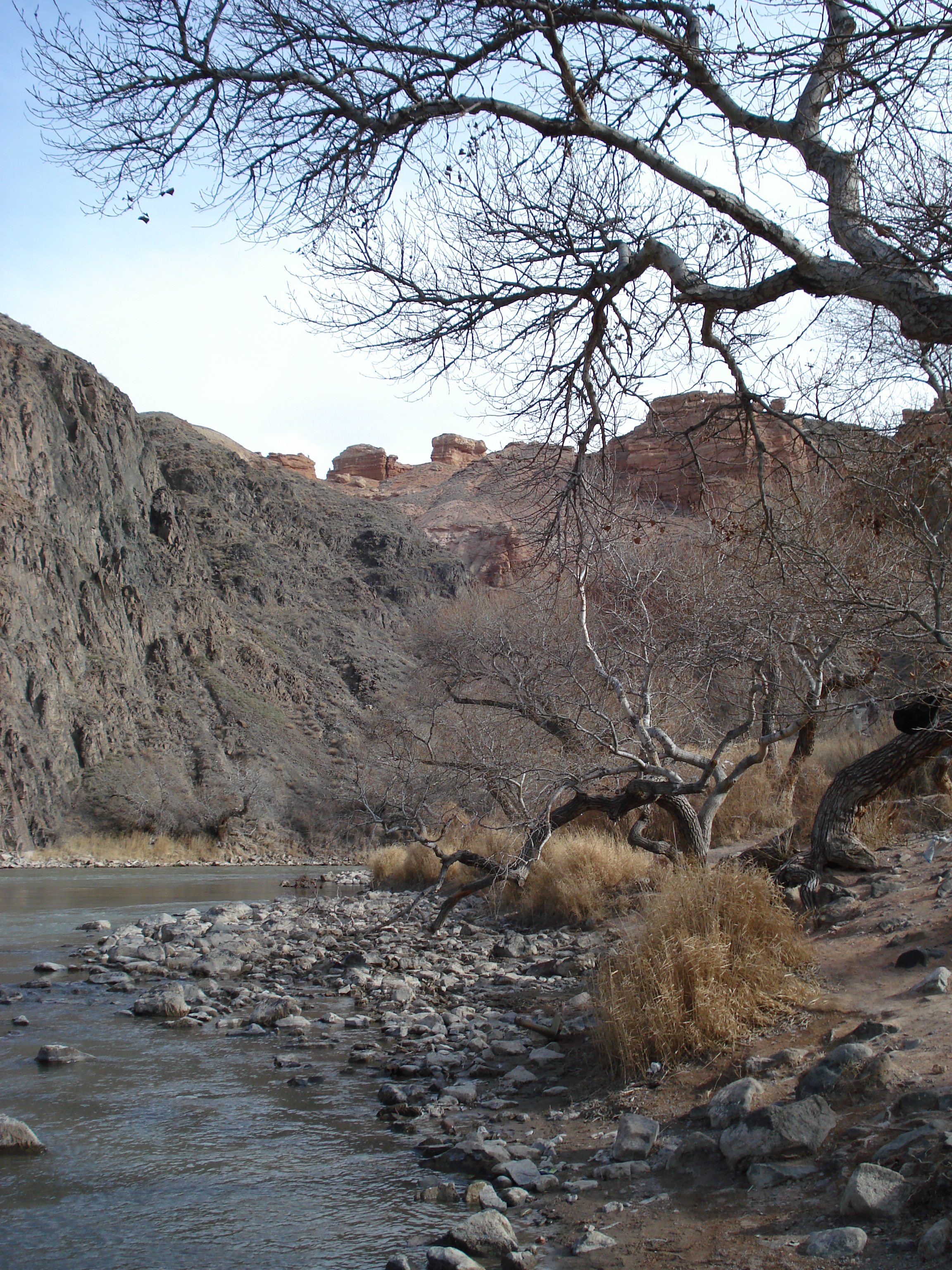 Picture Kazakhstan Charyn Canyon 2007-03 49 - Tours Charyn Canyon