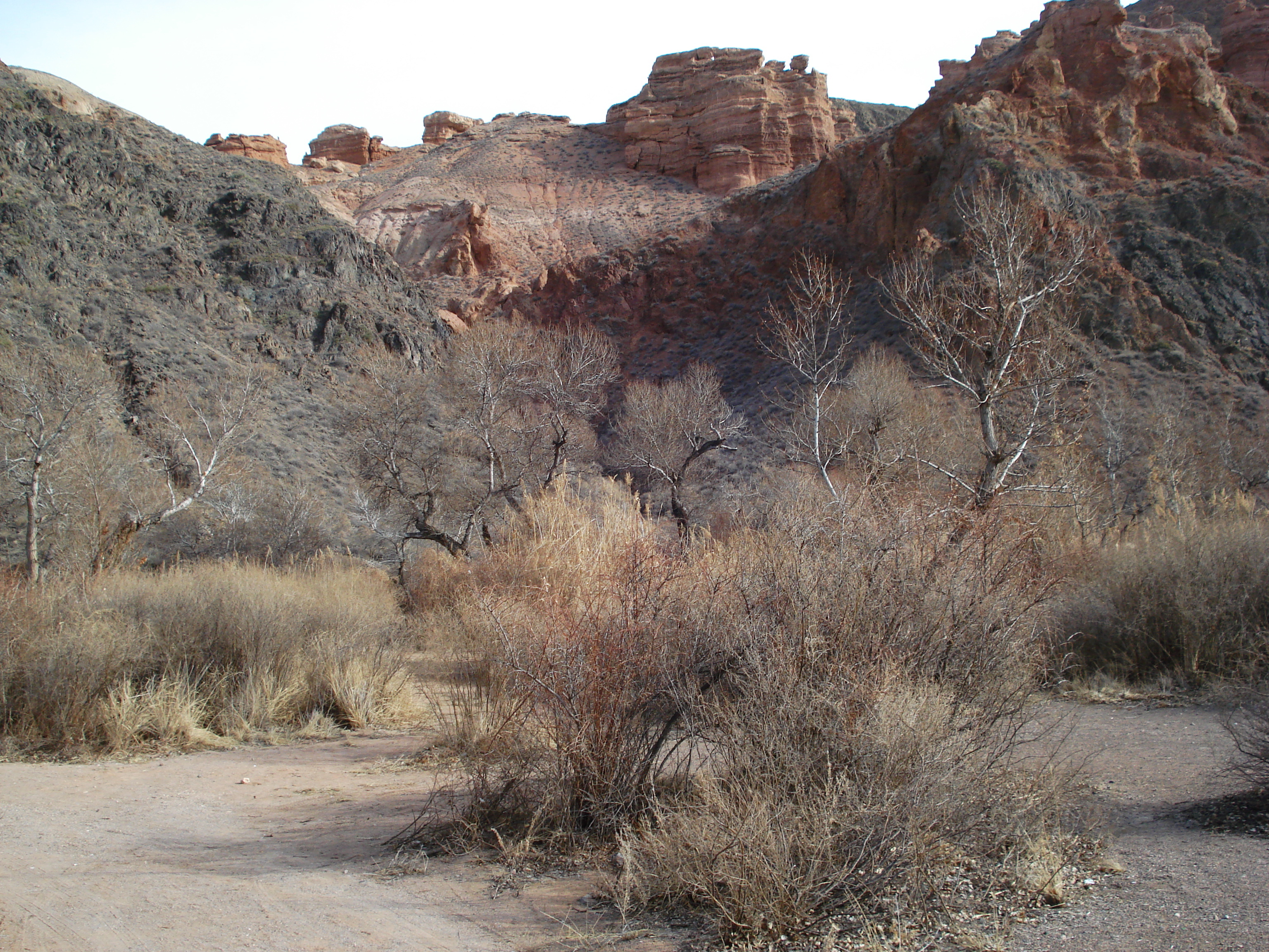 Picture Kazakhstan Charyn Canyon 2007-03 48 - Recreation Charyn Canyon