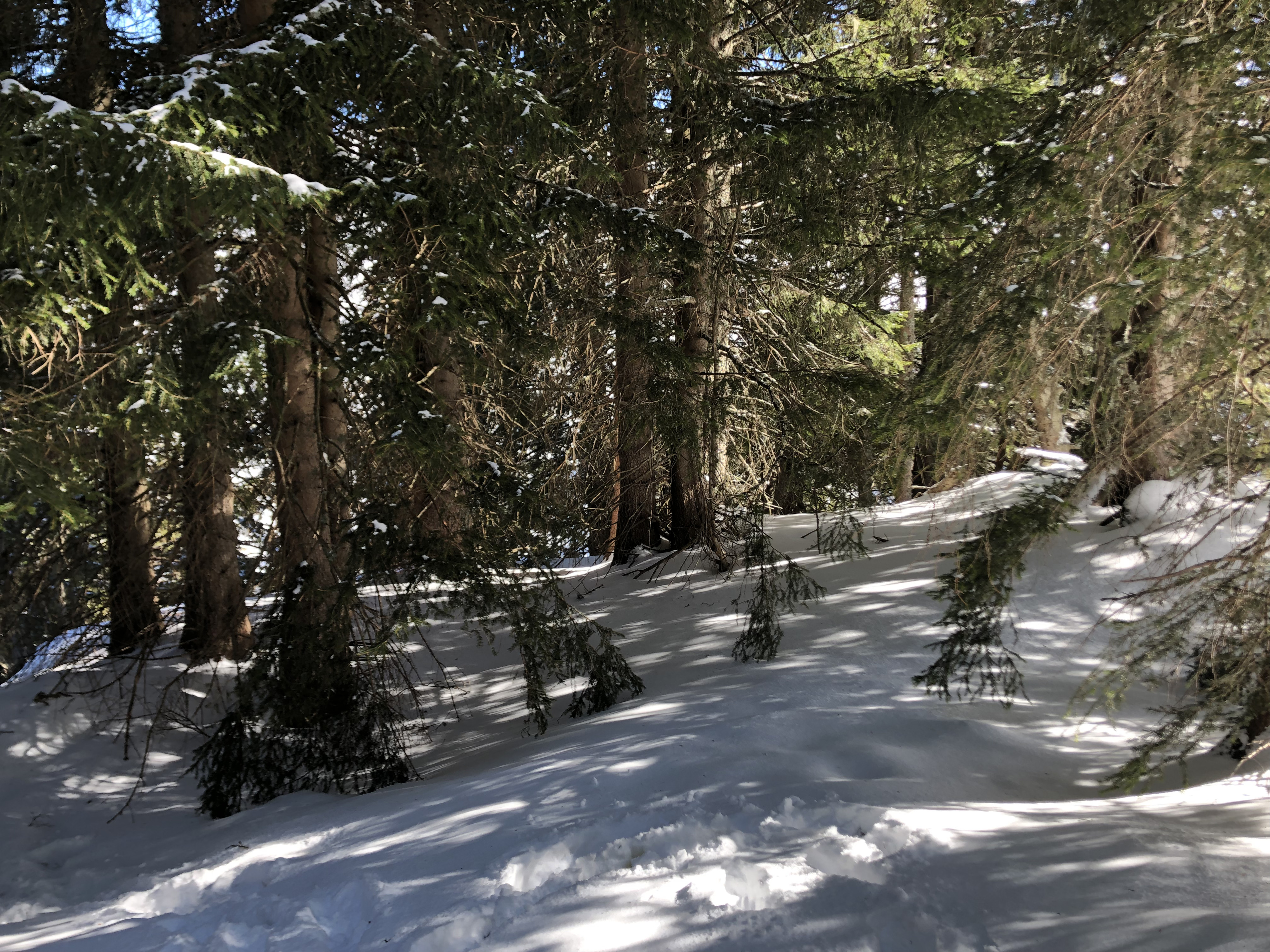 Picture France Megeve 2019-03 93 - Around Megeve