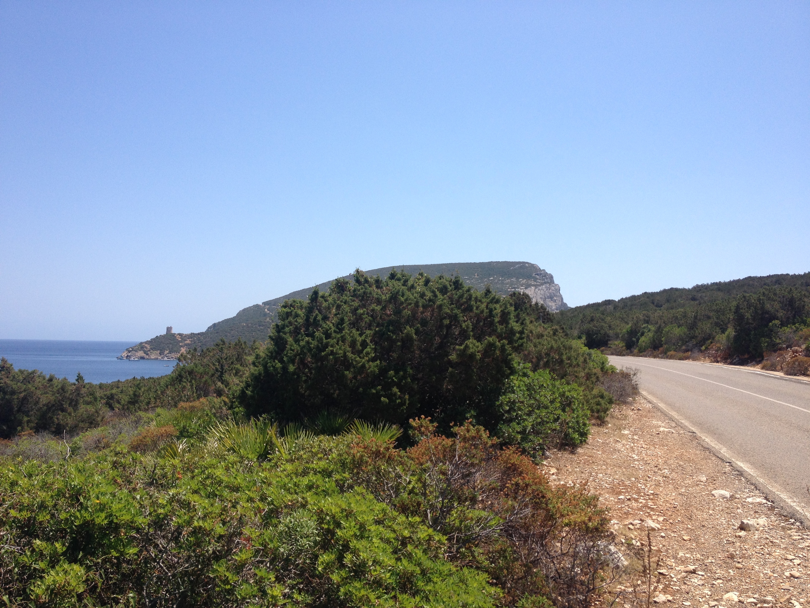 Picture Italy Sardinia Porto Conte Regional Natural Park 2015-06 13 - History Porto Conte Regional Natural Park