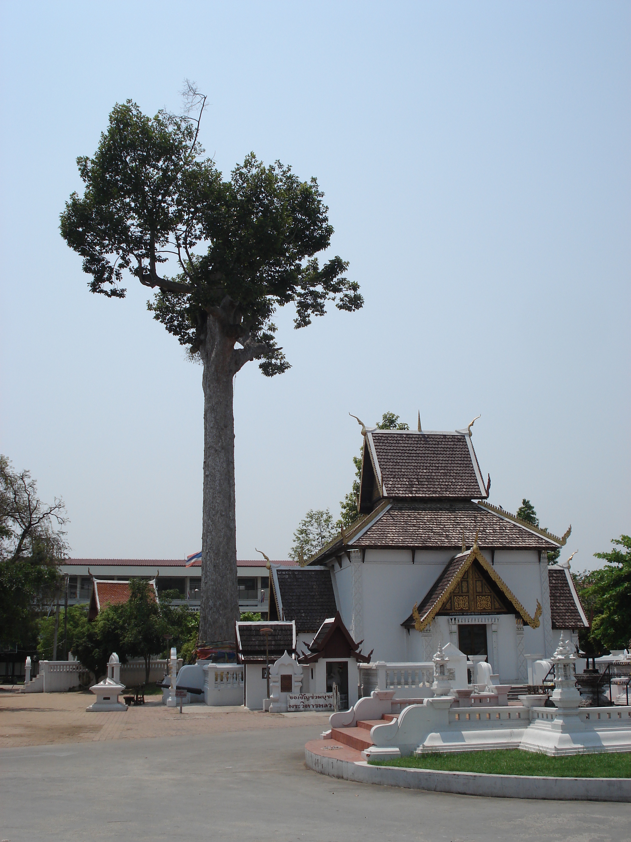 Picture Thailand Chiang Mai Inside Canal Wat Chediluang Varaviharn temple 2006-04 4 - Tours Wat Chediluang Varaviharn temple