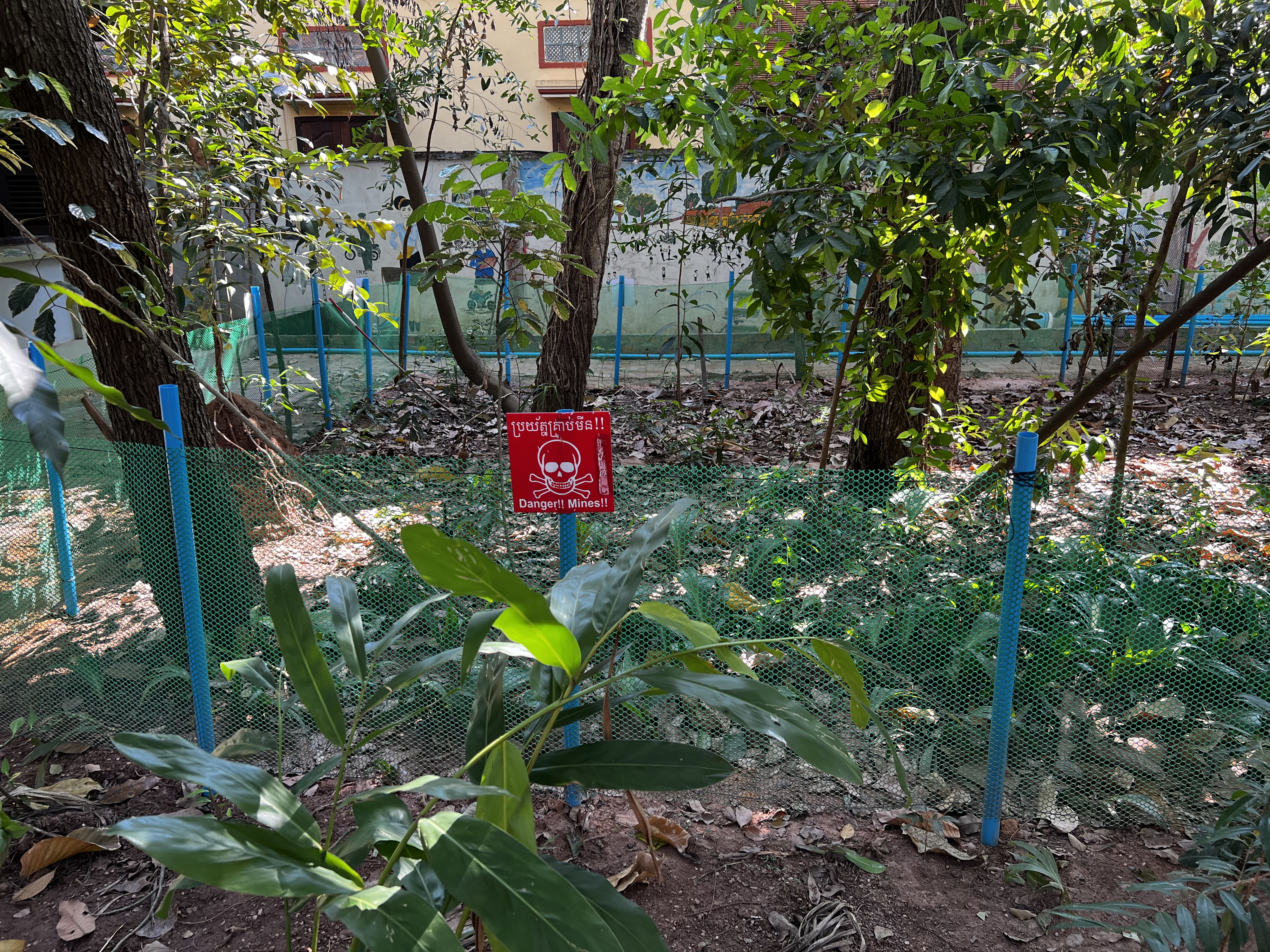 Picture Cambodia Siem Reap Cambodia Landmine Museum 2023-01 11 - Discovery Cambodia Landmine Museum