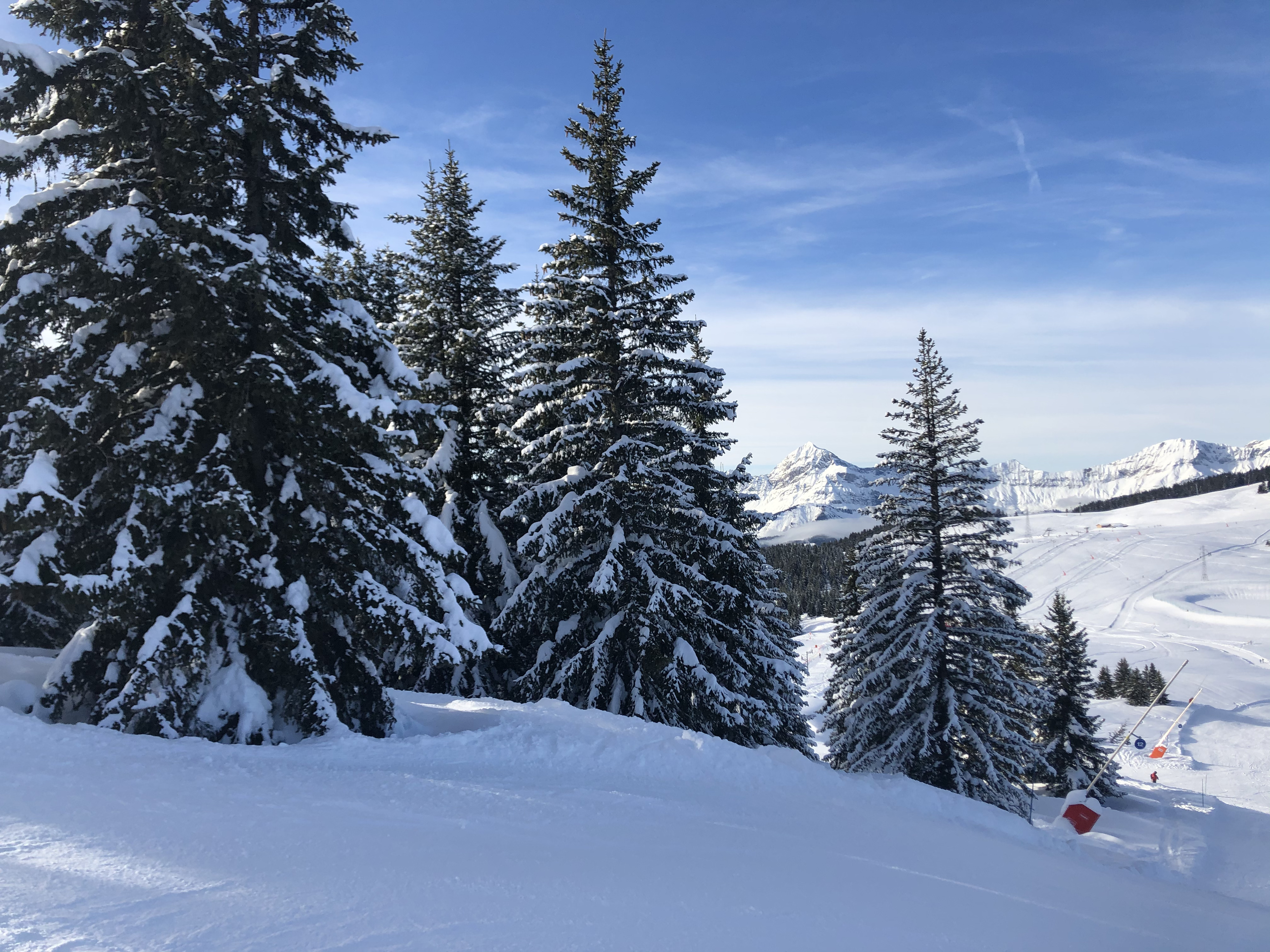 Picture France Praz sur Arly 2019-12 420 - History Praz sur Arly