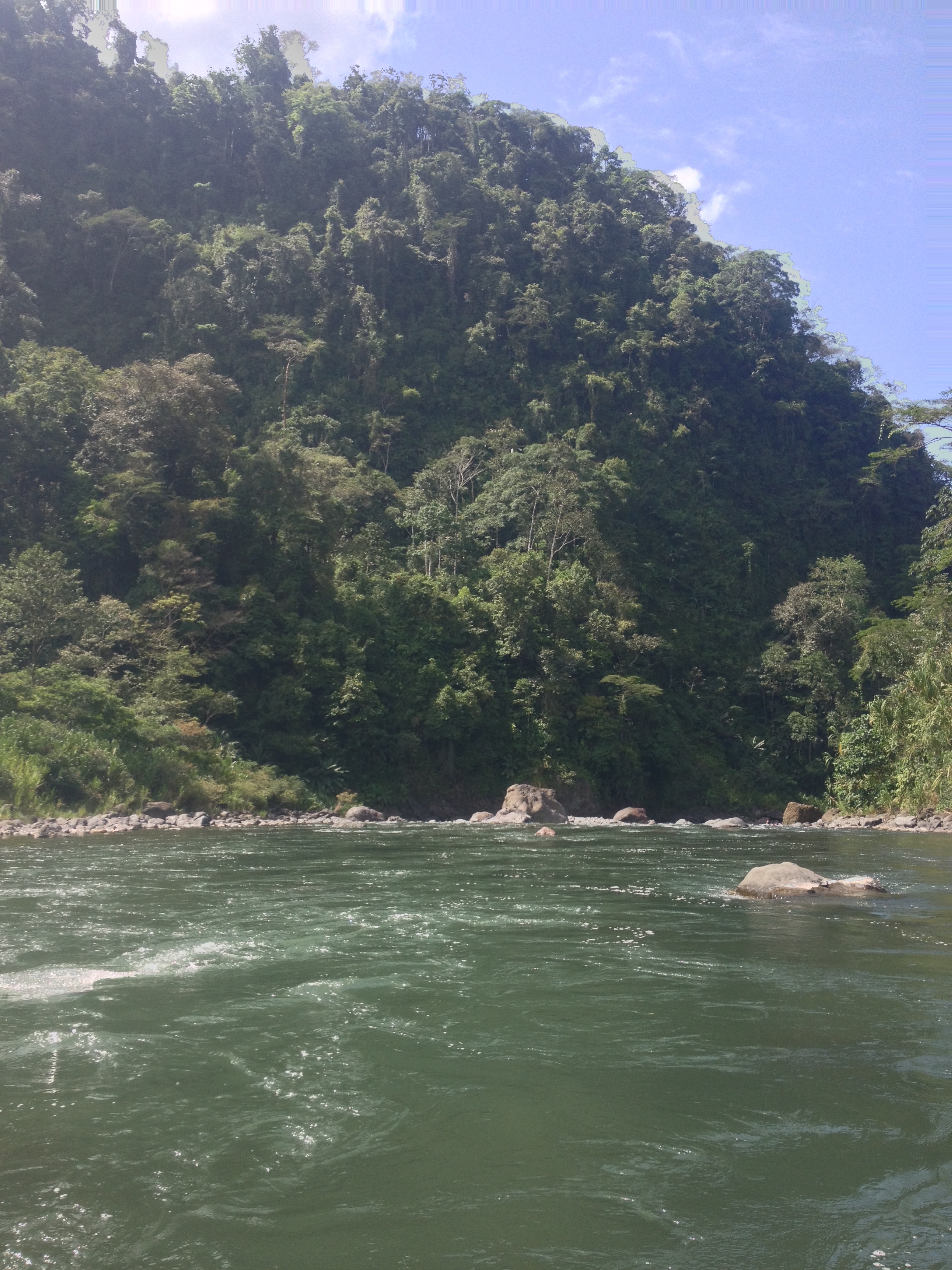 Picture Costa Rica Pacuare River 2015-03 82 - Around Pacuare River