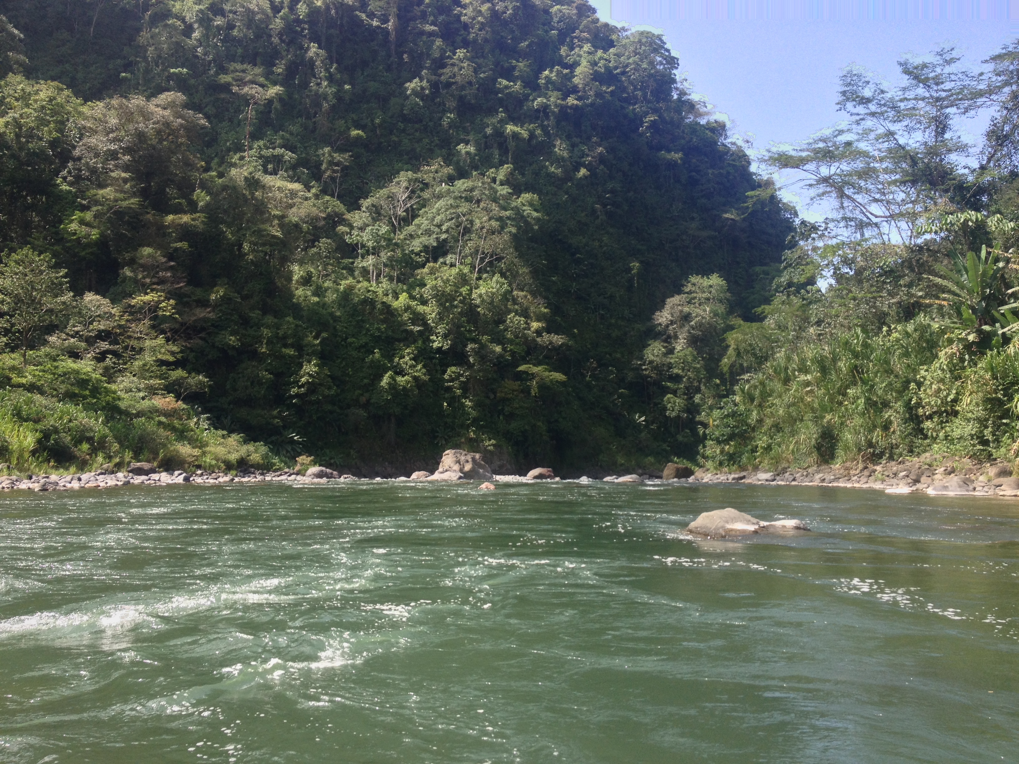 Picture Costa Rica Pacuare River 2015-03 102 - Tours Pacuare River