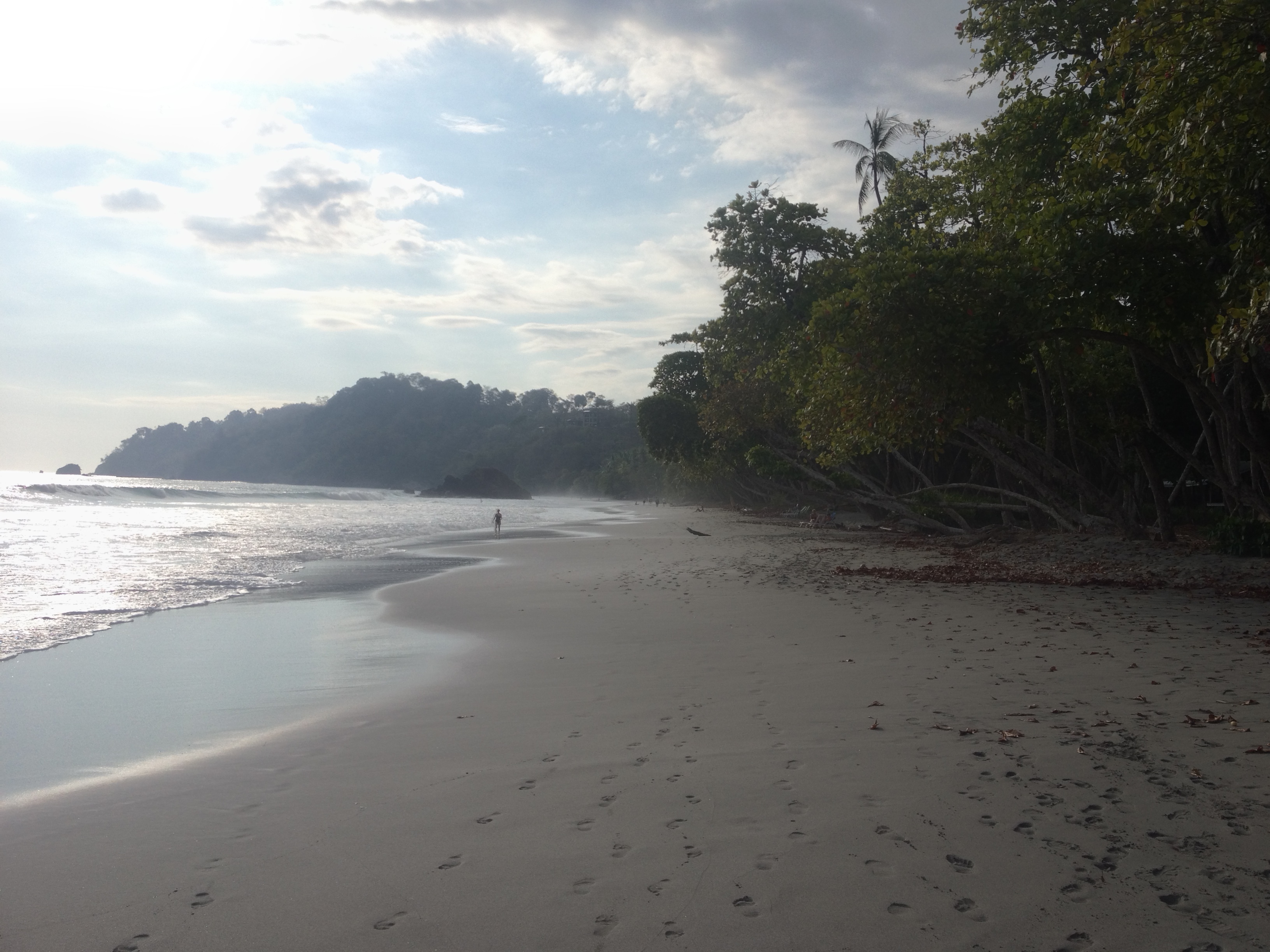 Picture Costa Rica Manuel Antonio 2015-03 87 - Around Manuel Antonio