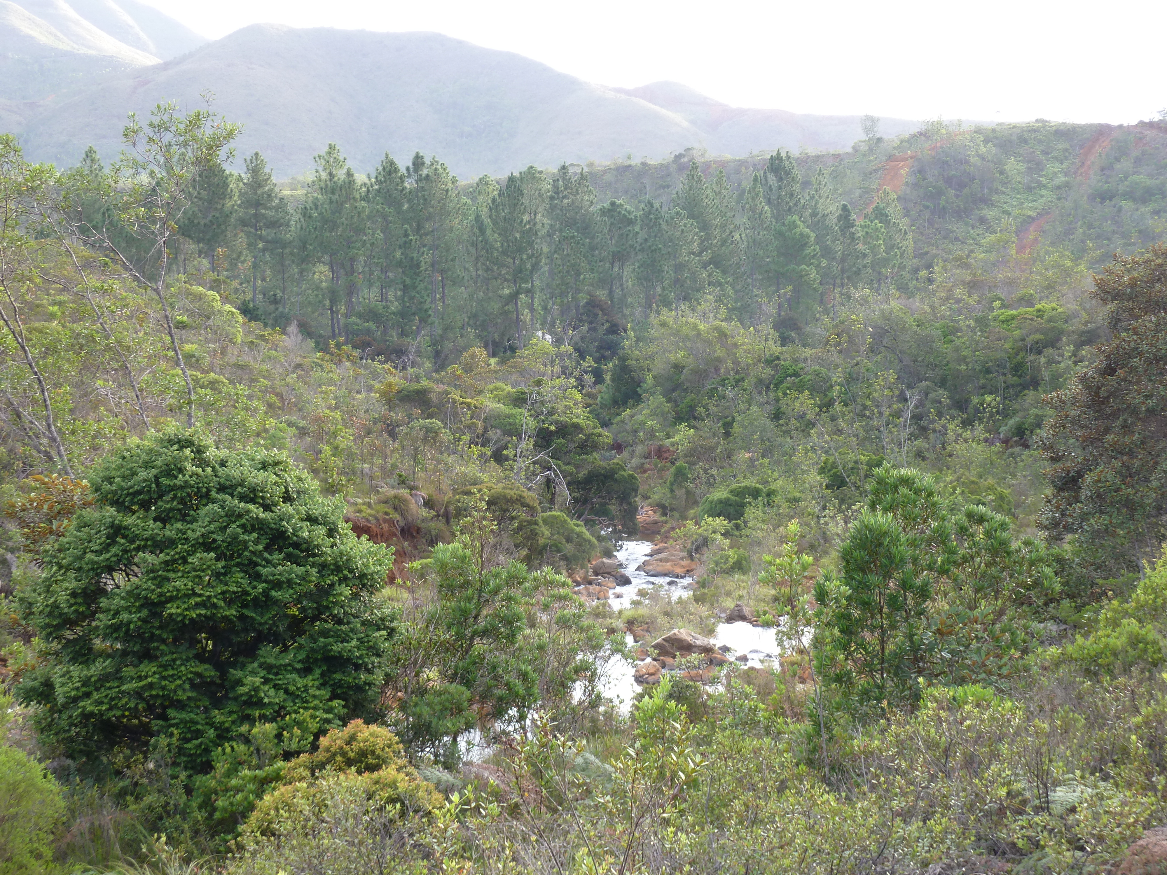 Picture New Caledonia Parc de la Riviere Bleue 2010-05 28 - Recreation Parc de la Riviere Bleue