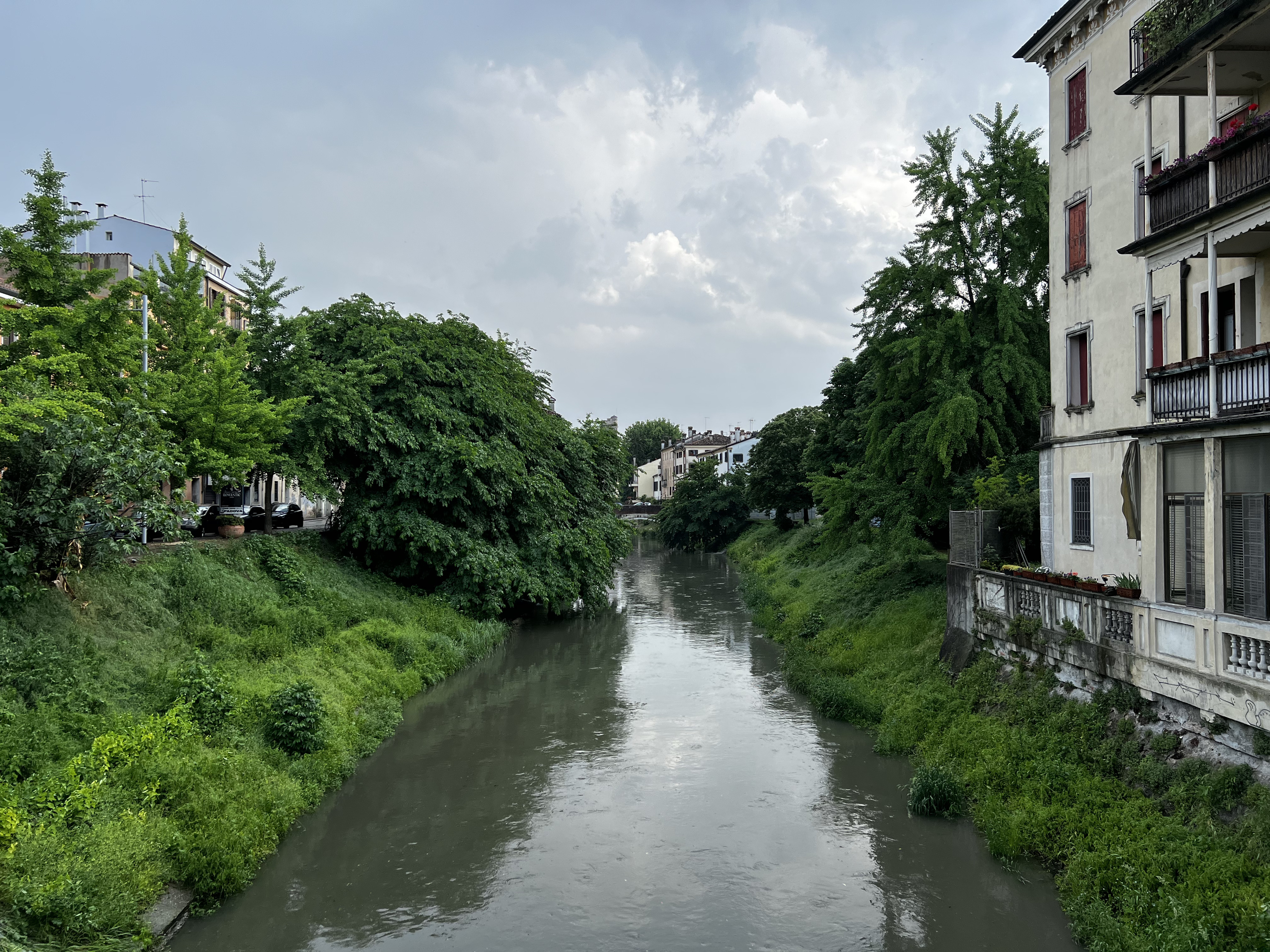 Picture Italy Padua 2022-05 169 - History Padua