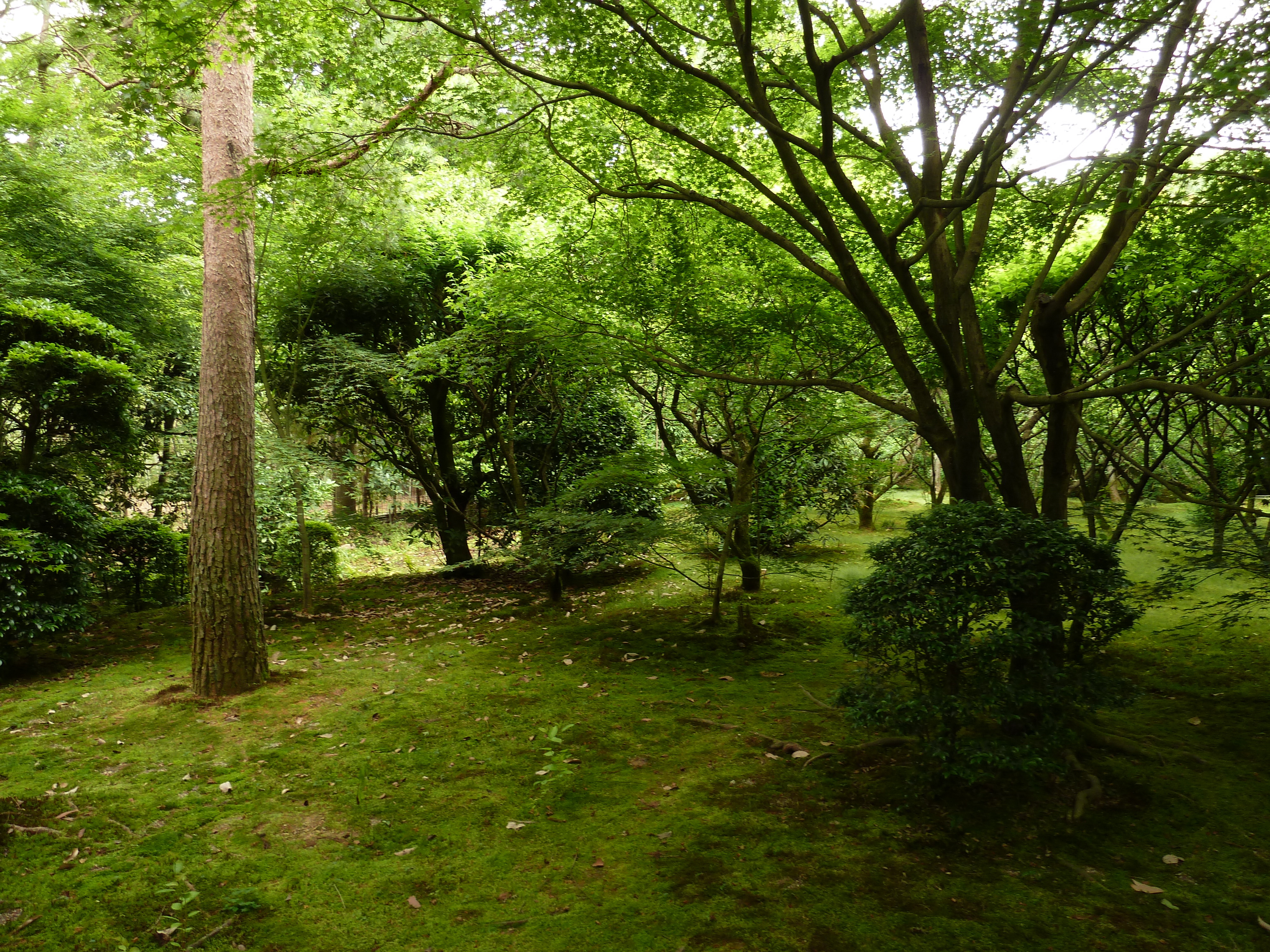 Picture Japan Kyoto Ryoanji Temple 2010-06 20 - Around Ryoanji Temple