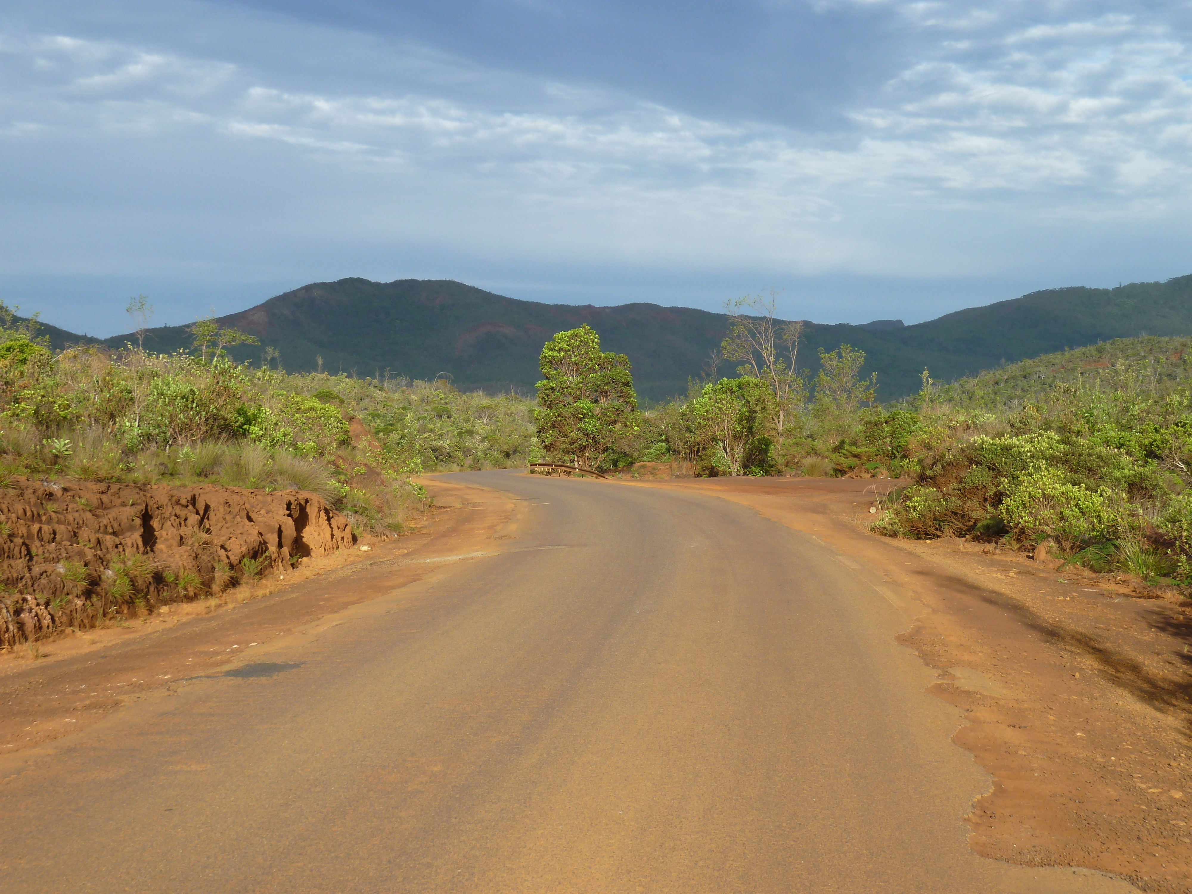 Picture New Caledonia Parc de la Riviere Bleue 2010-05 138 - Journey Parc de la Riviere Bleue