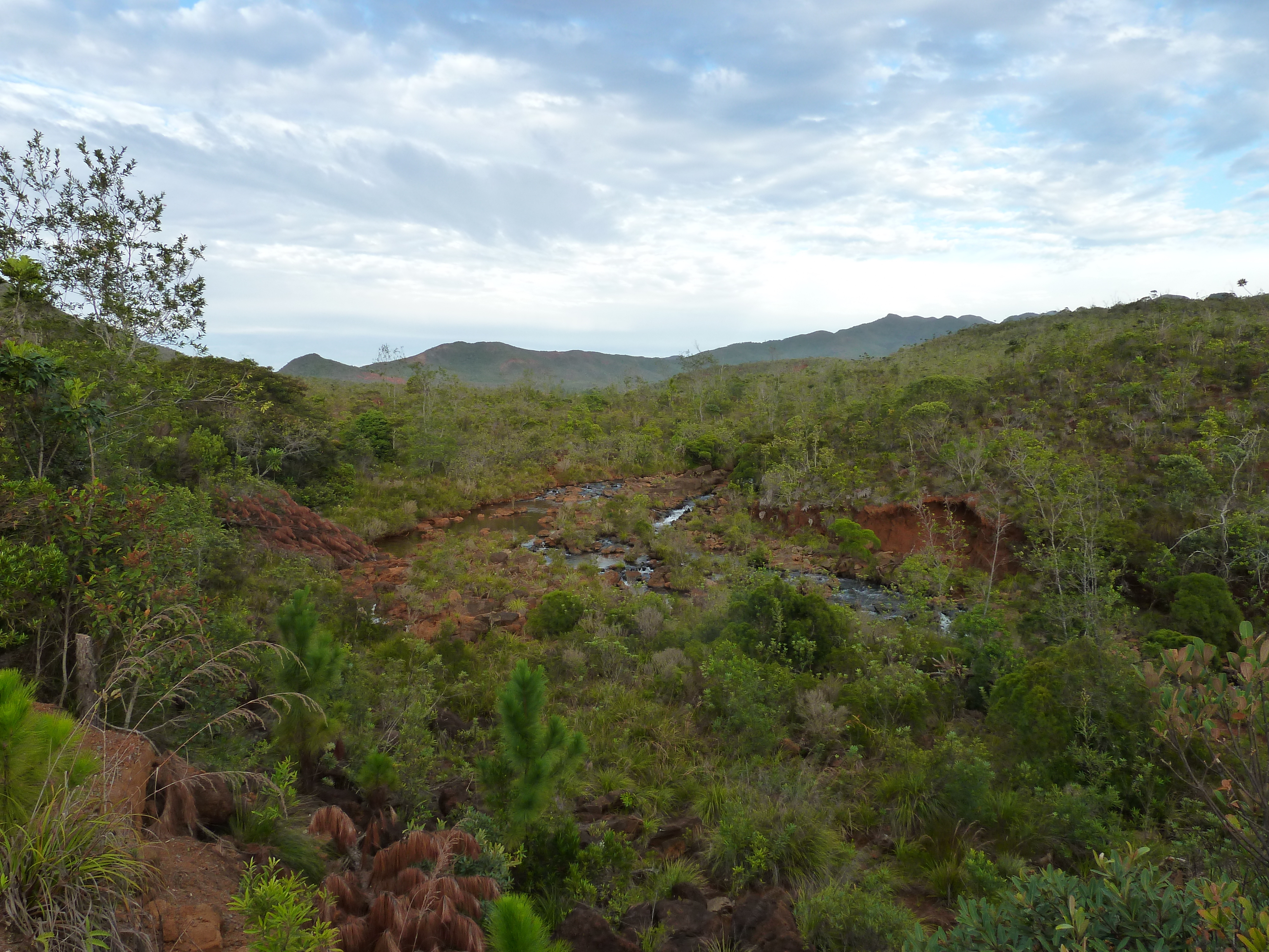 Picture New Caledonia Parc de la Riviere Bleue 2010-05 133 - Around Parc de la Riviere Bleue