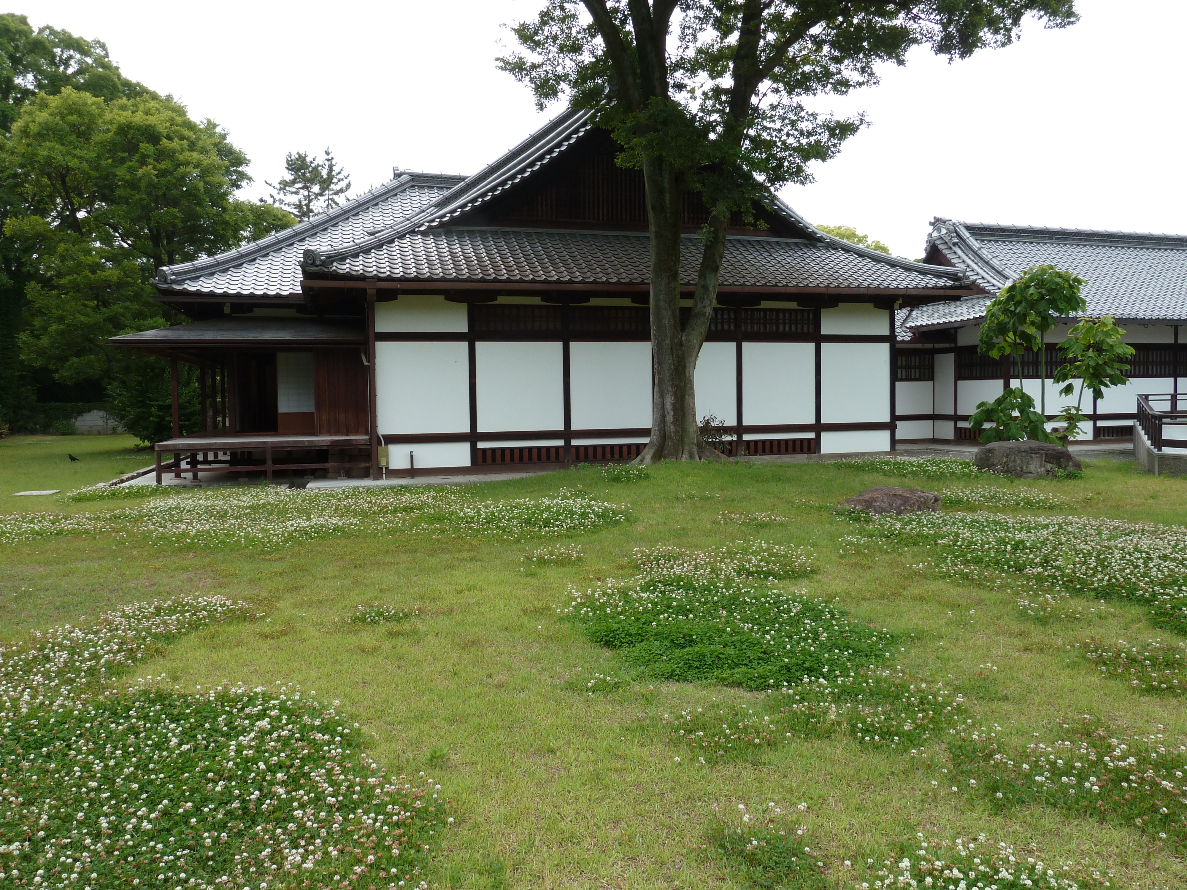 Picture Japan Kyoto Kyoto Gyoen Garden 2010-06 15 - Tour Kyoto Gyoen Garden