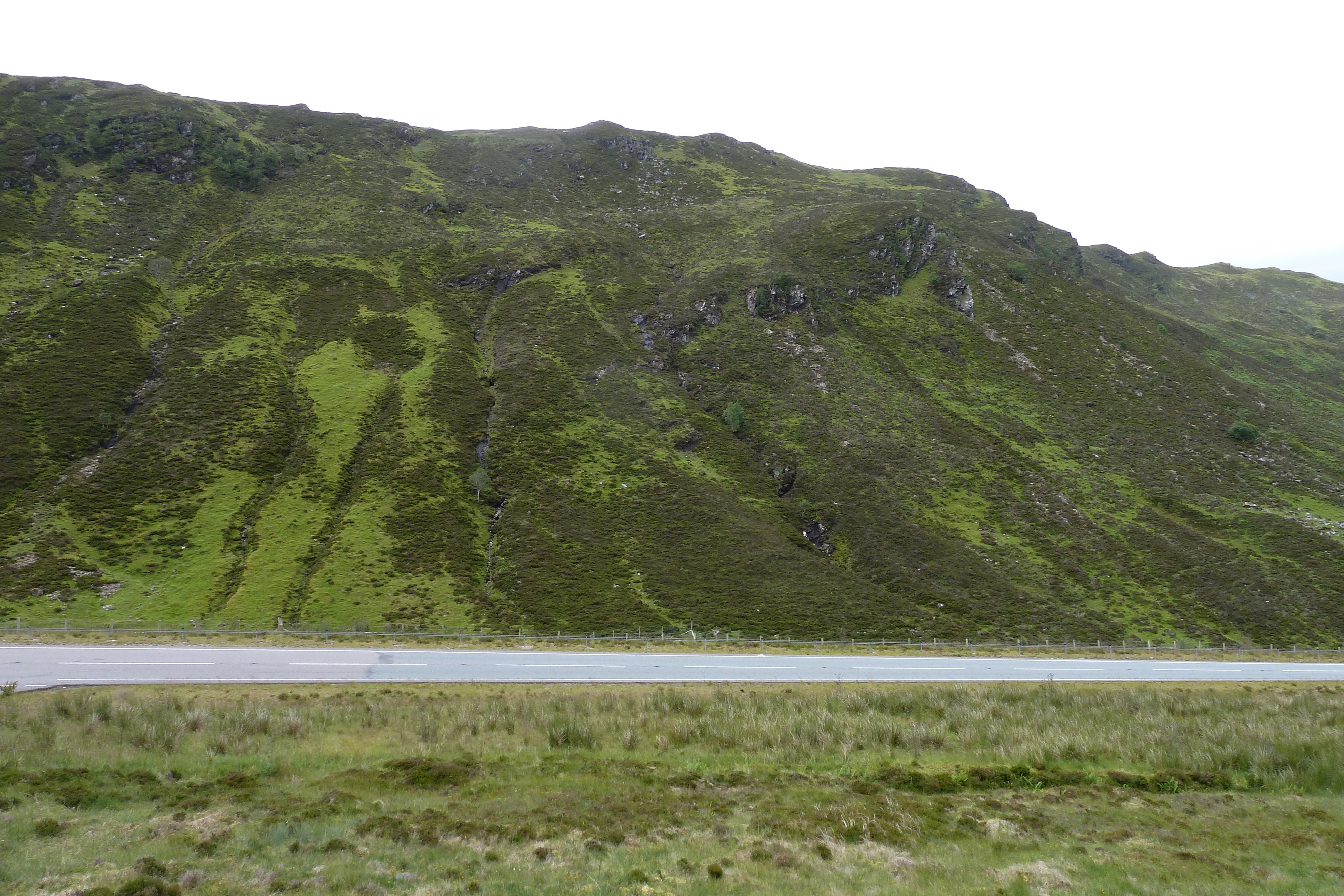 Picture United Kingdom Scotland Loch Maree 2011-07 22 - Around Loch Maree