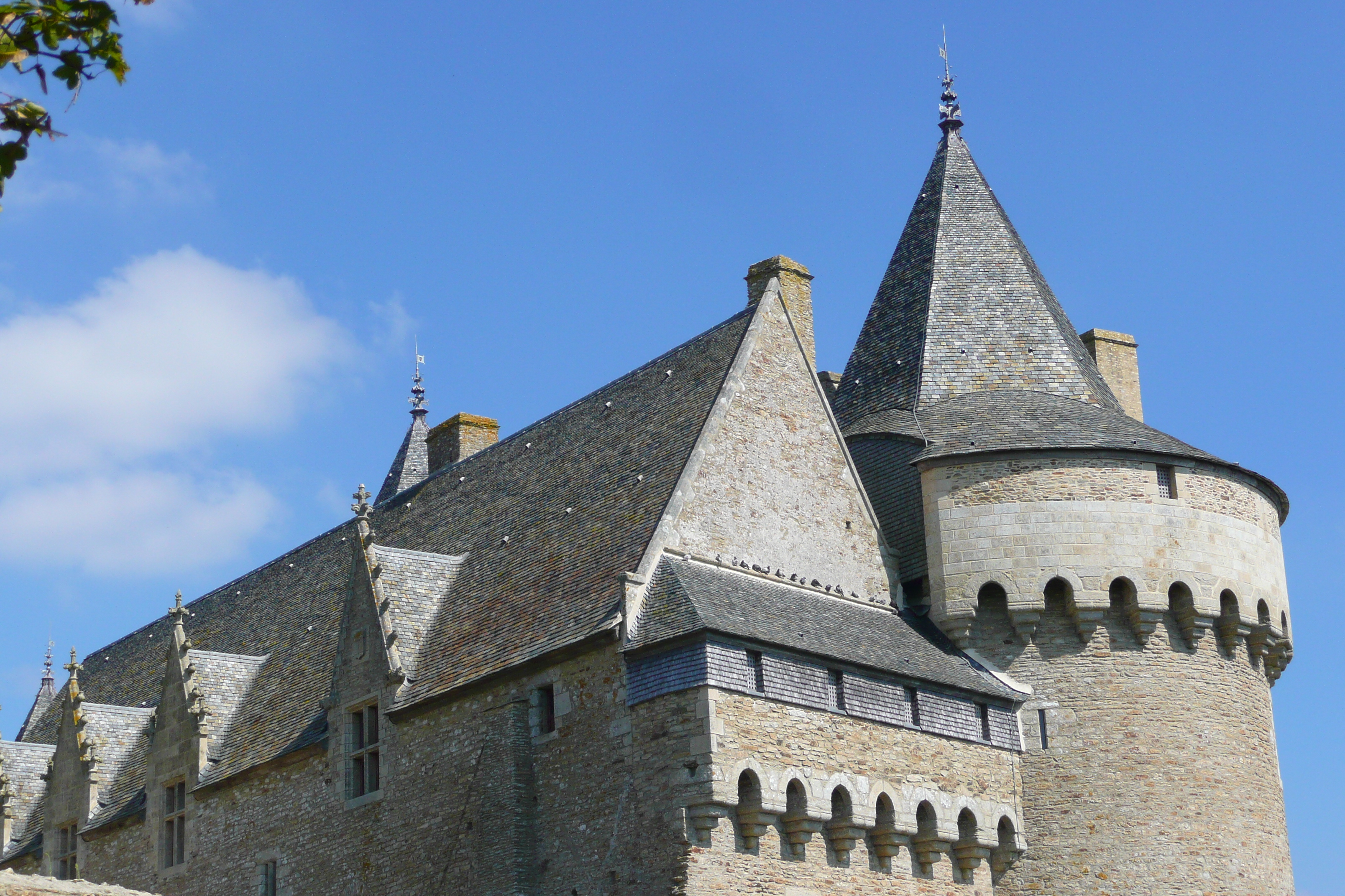 Picture France Suscinio Castle 2007-09 116 - Tours Suscinio Castle