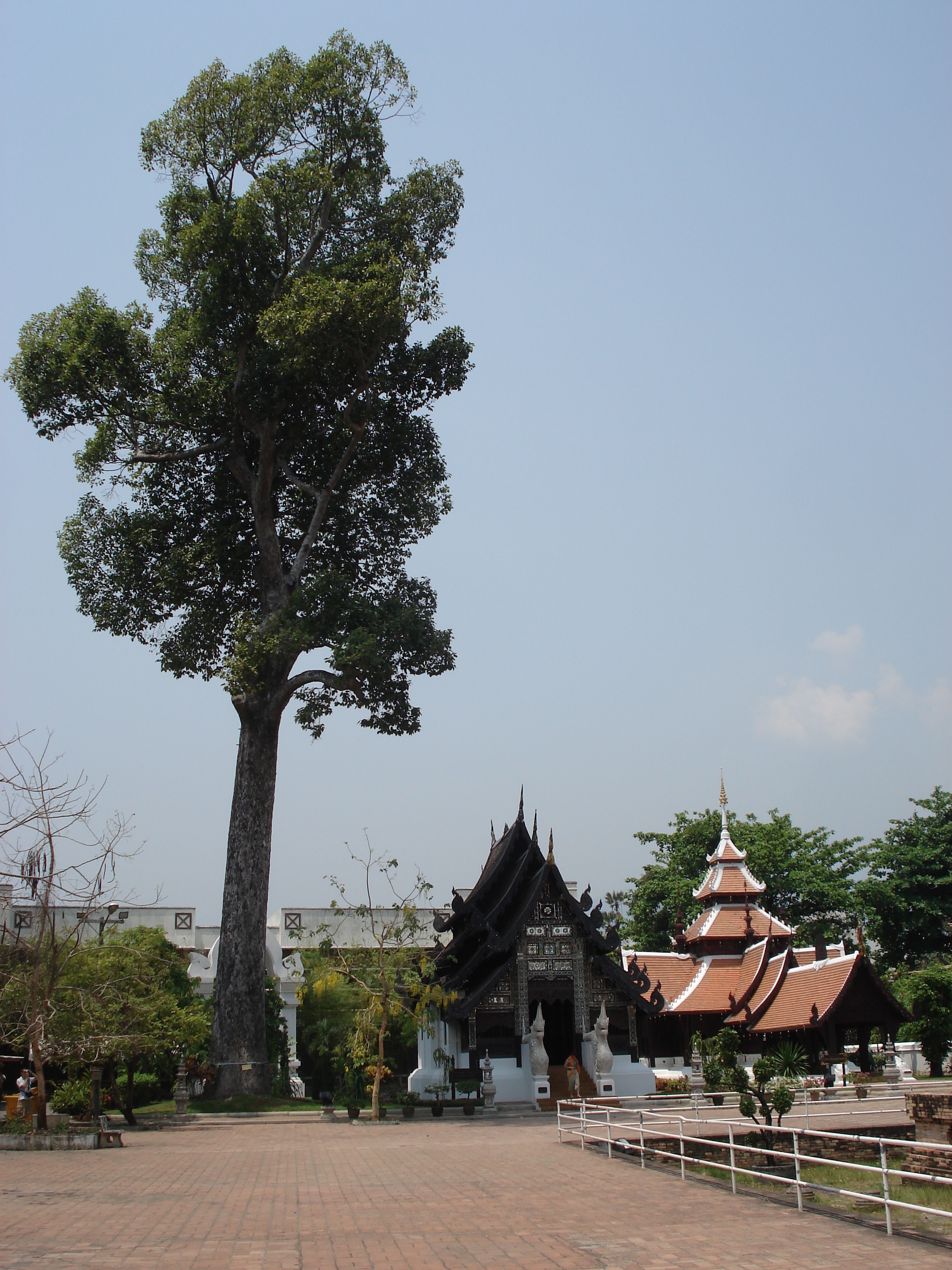 Picture Thailand Chiang Mai Inside Canal Wat Chediluang Varaviharn temple 2006-04 1 - Discovery Wat Chediluang Varaviharn temple