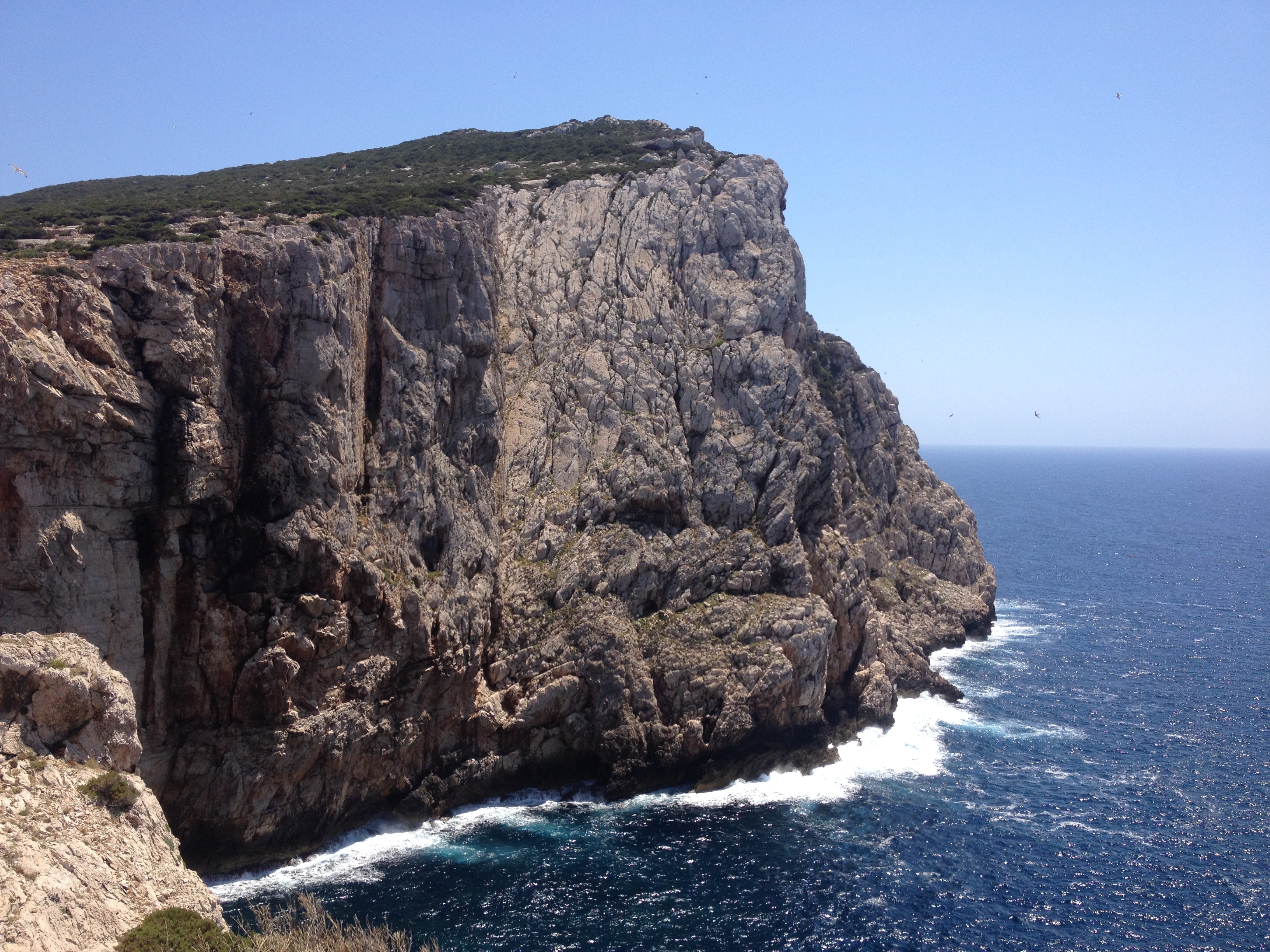 Picture Italy Sardinia Porto Conte Regional Natural Park 2015-06 17 - Around Porto Conte Regional Natural Park