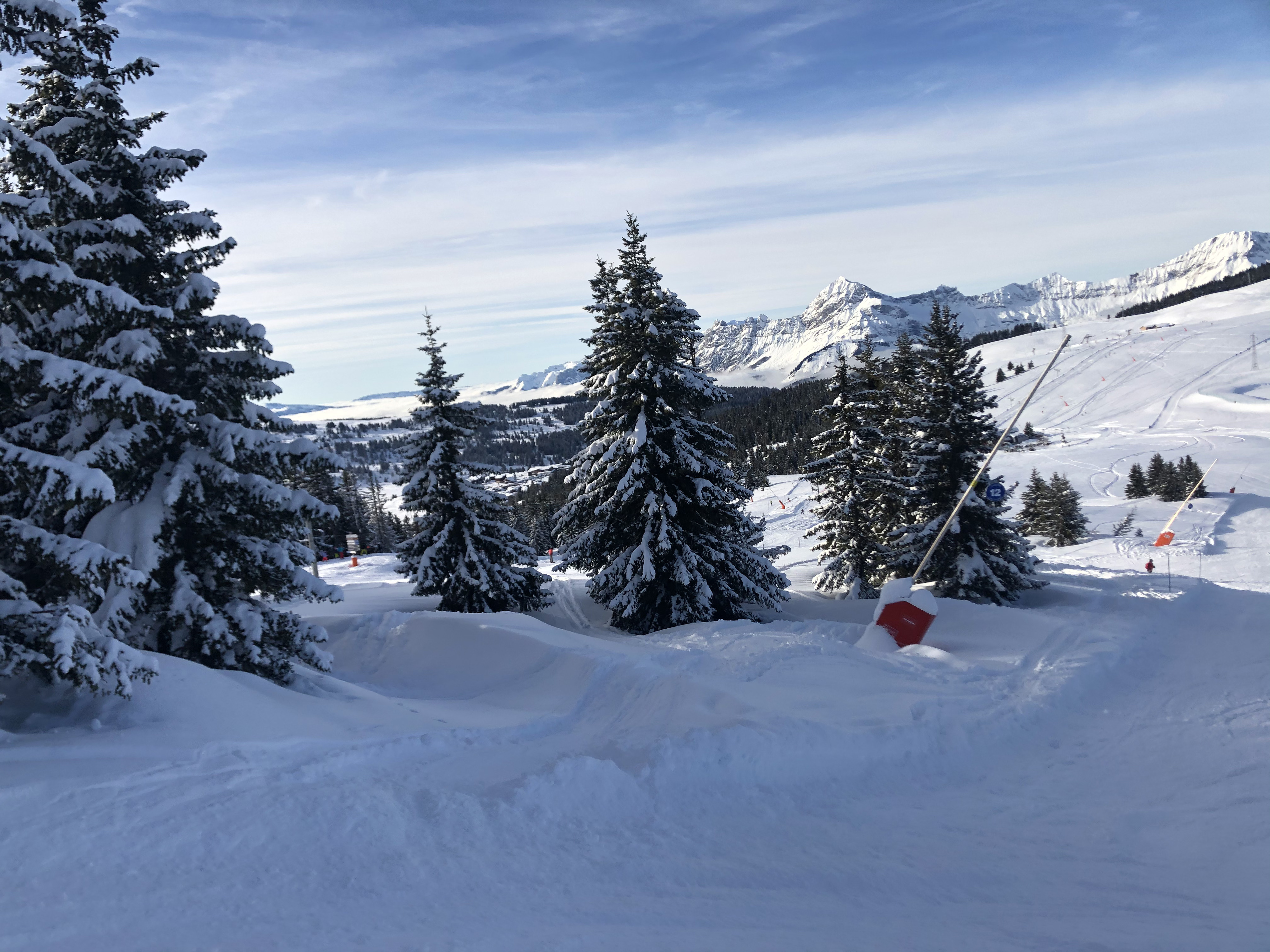 Picture France Praz sur Arly 2019-12 69 - Around Praz sur Arly