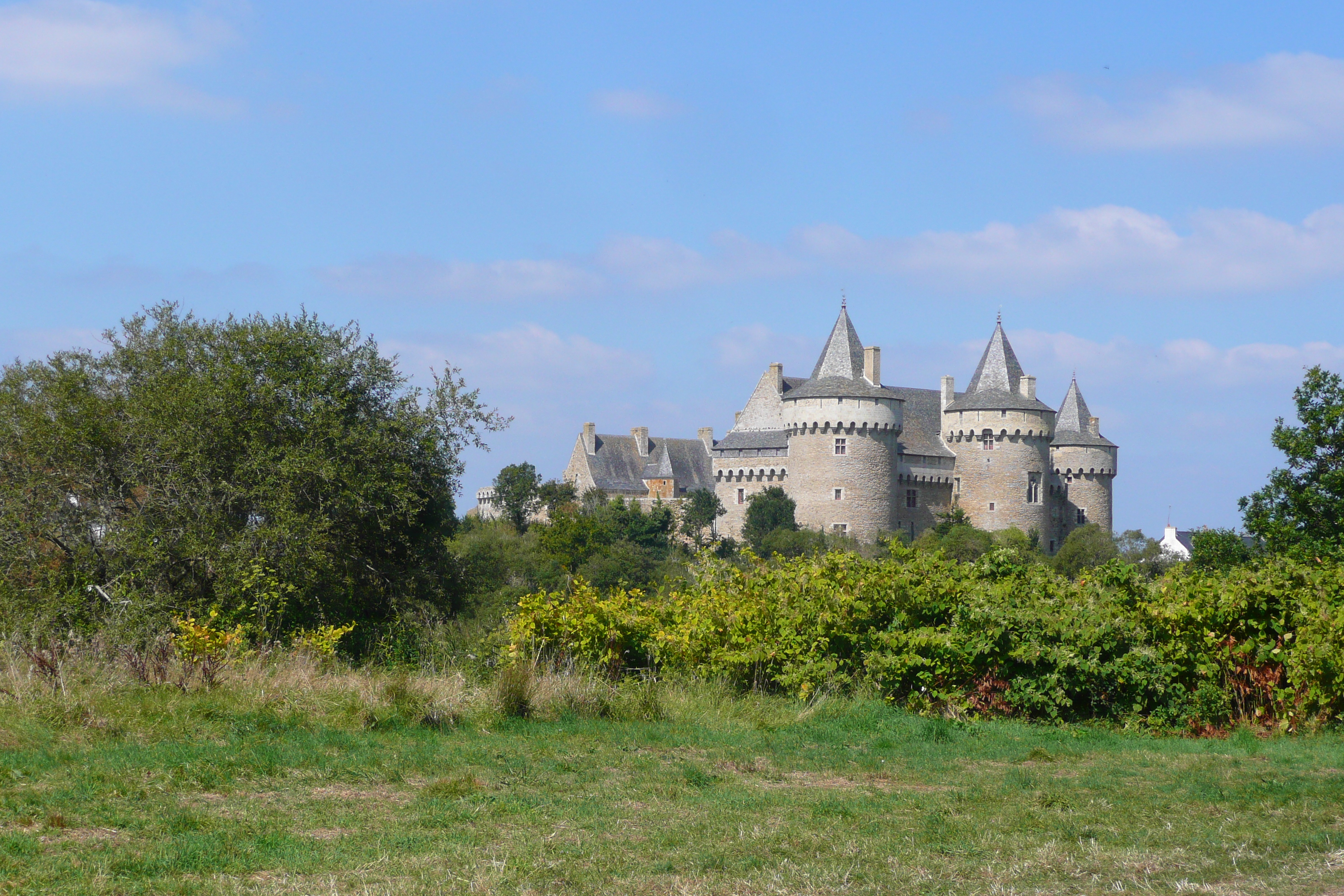 Picture France Suscinio Castle 2007-09 77 - History Suscinio Castle