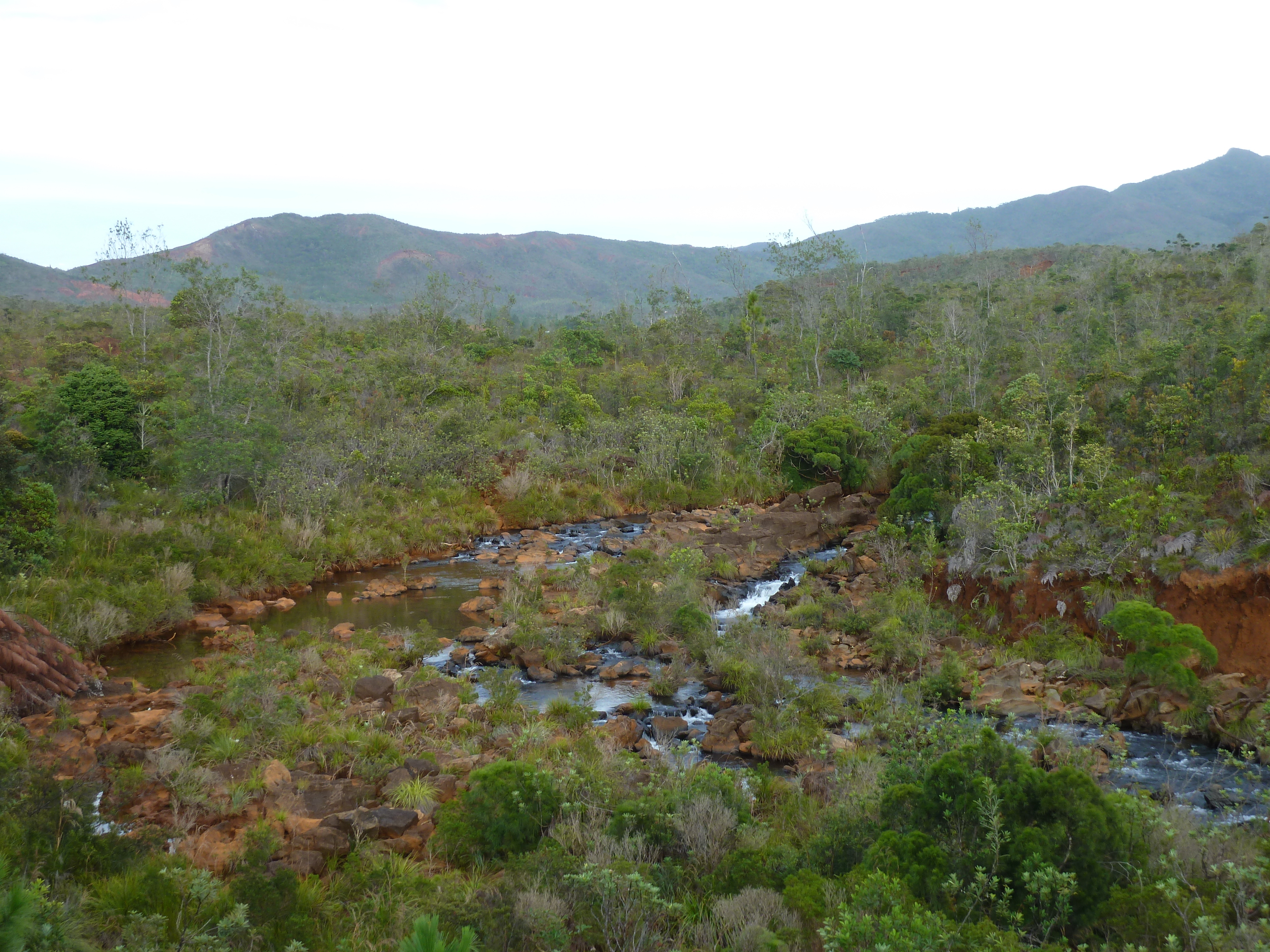 Picture New Caledonia Parc de la Riviere Bleue 2010-05 88 - Tour Parc de la Riviere Bleue