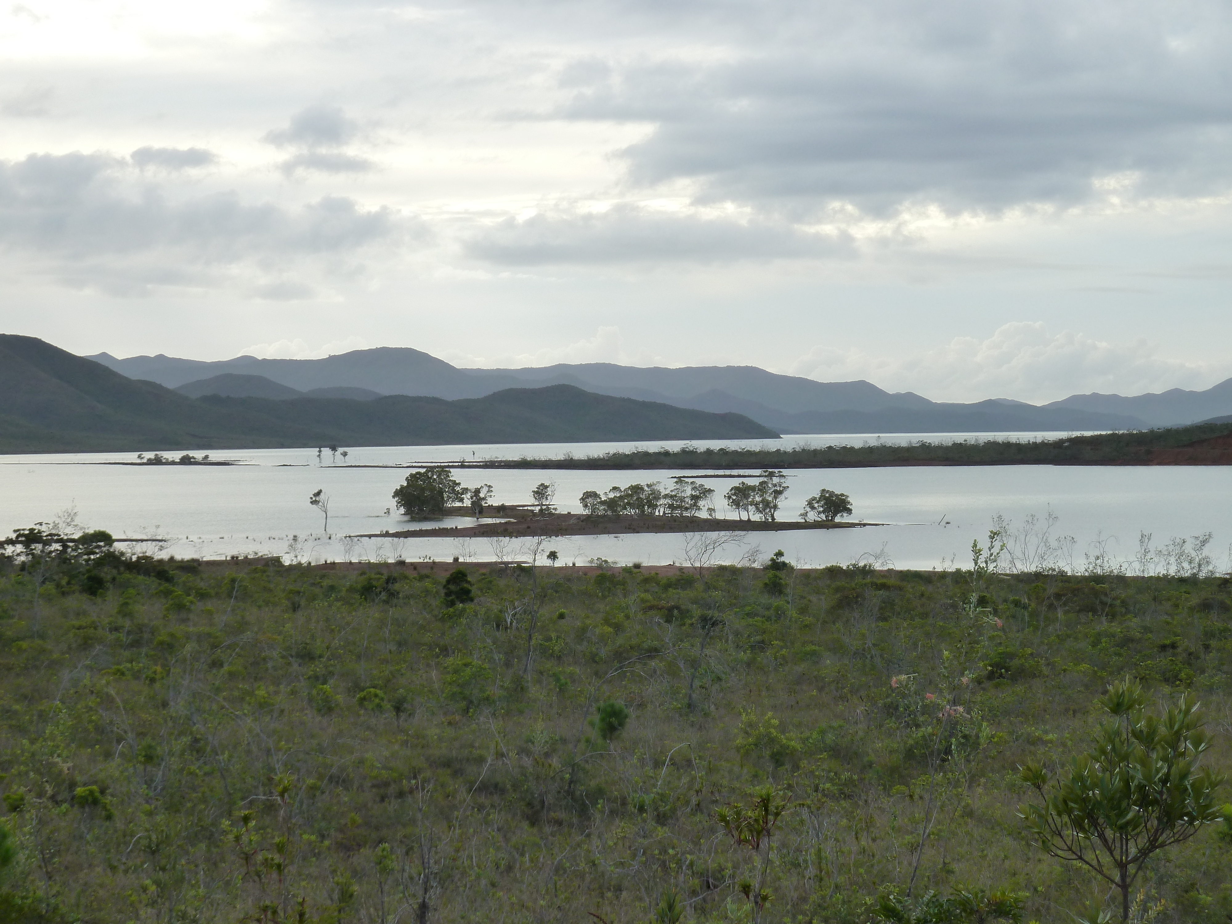 Picture New Caledonia Parc de la Riviere Bleue 2010-05 107 - Tour Parc de la Riviere Bleue