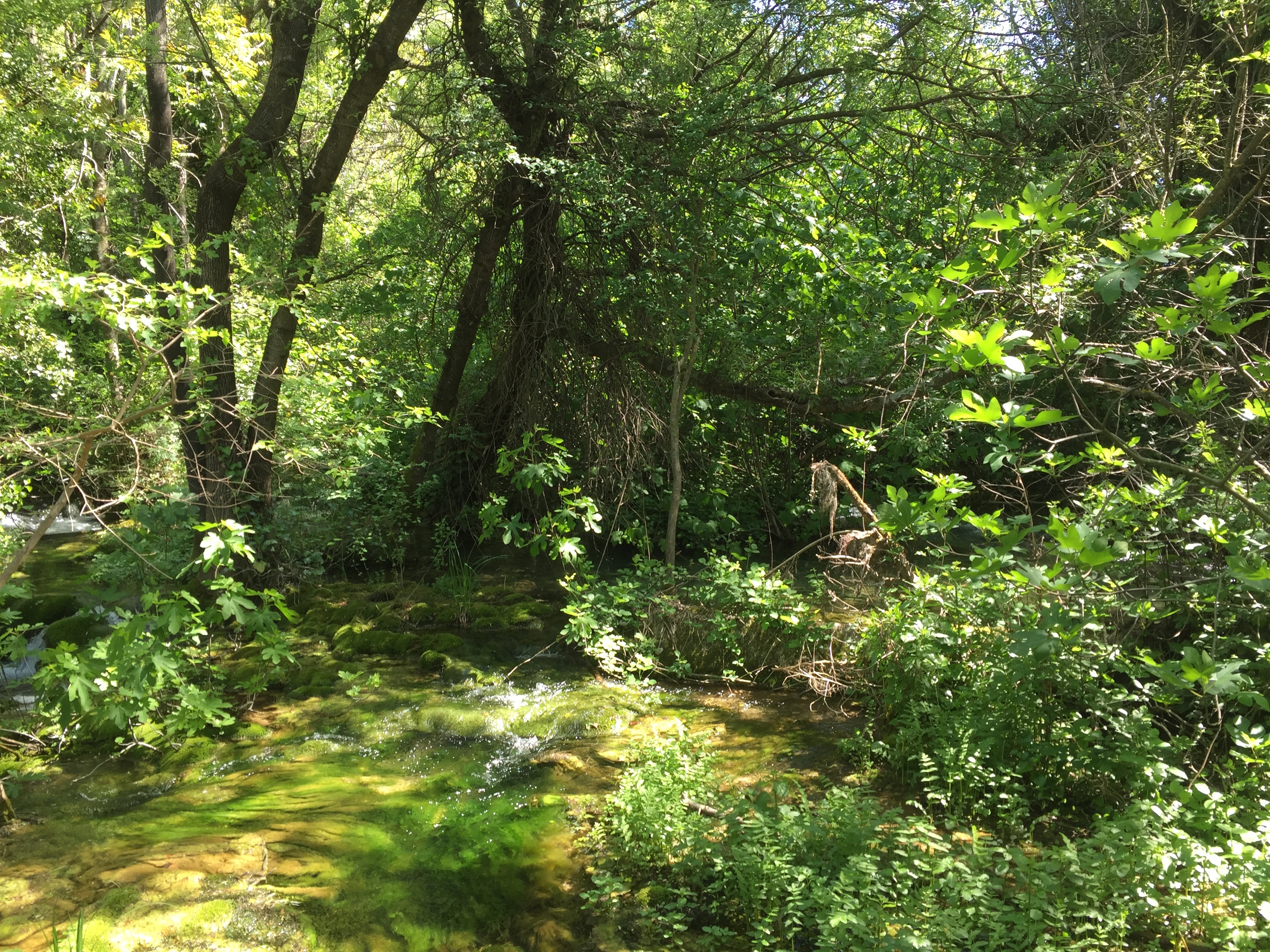 Picture Croatia Krka National Park 2016-04 80 - Around Krka National Park