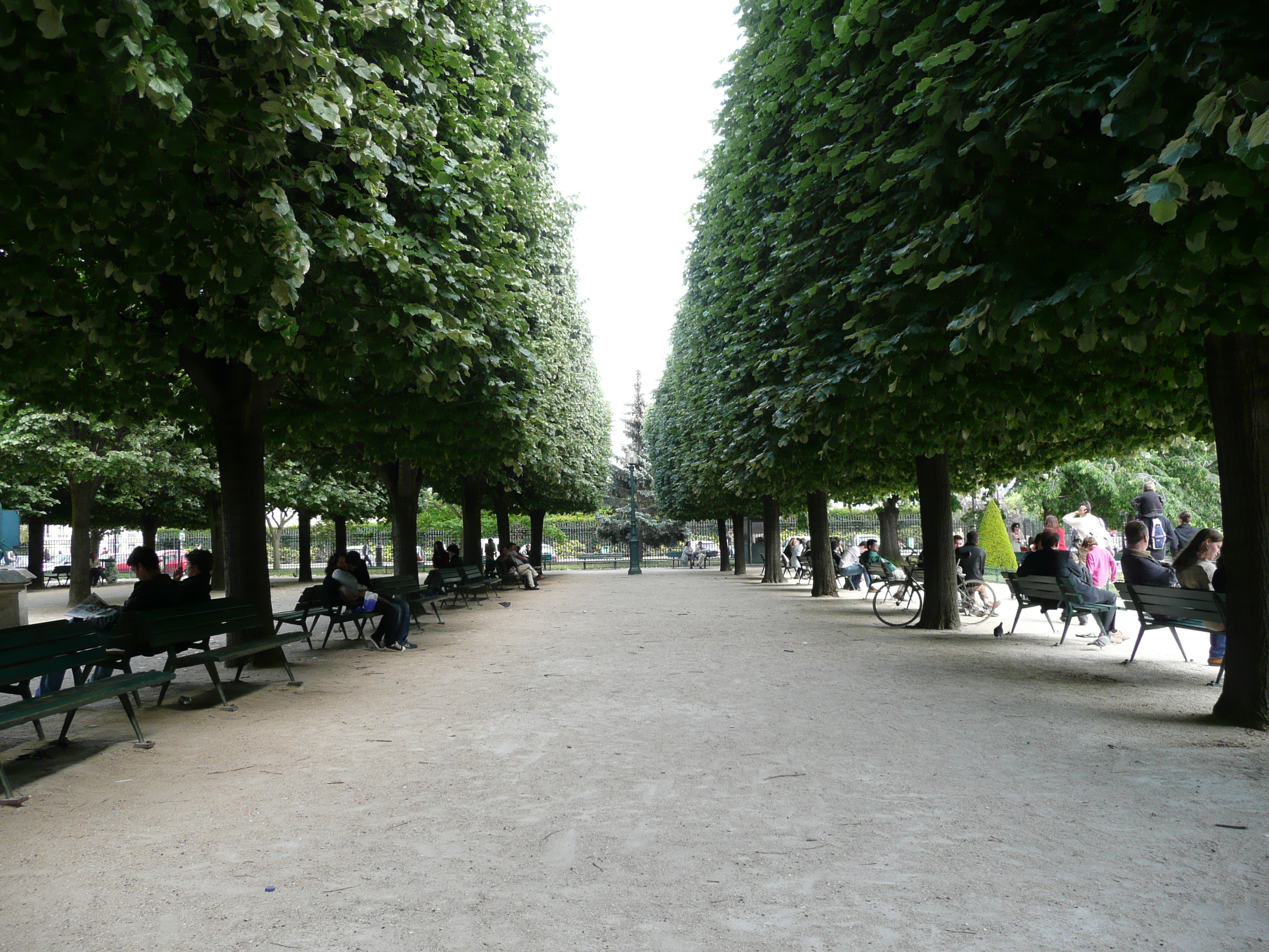 Picture France Paris Notre Dame 2007-05 100 - Tour Notre Dame