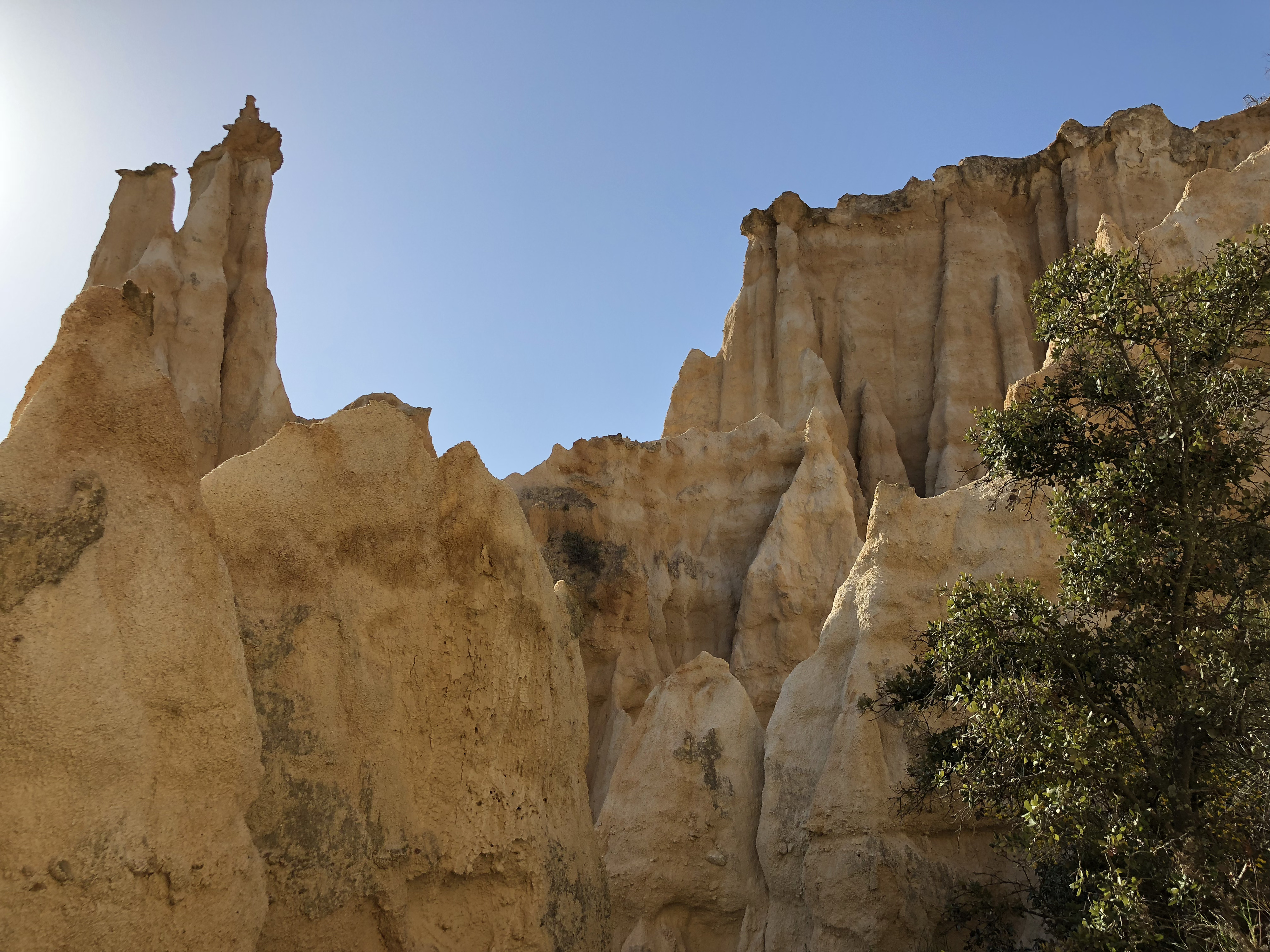 Picture France Orgues d'Ille Sur Tet 2018-04 36 - Center Orgues d'Ille Sur Tet