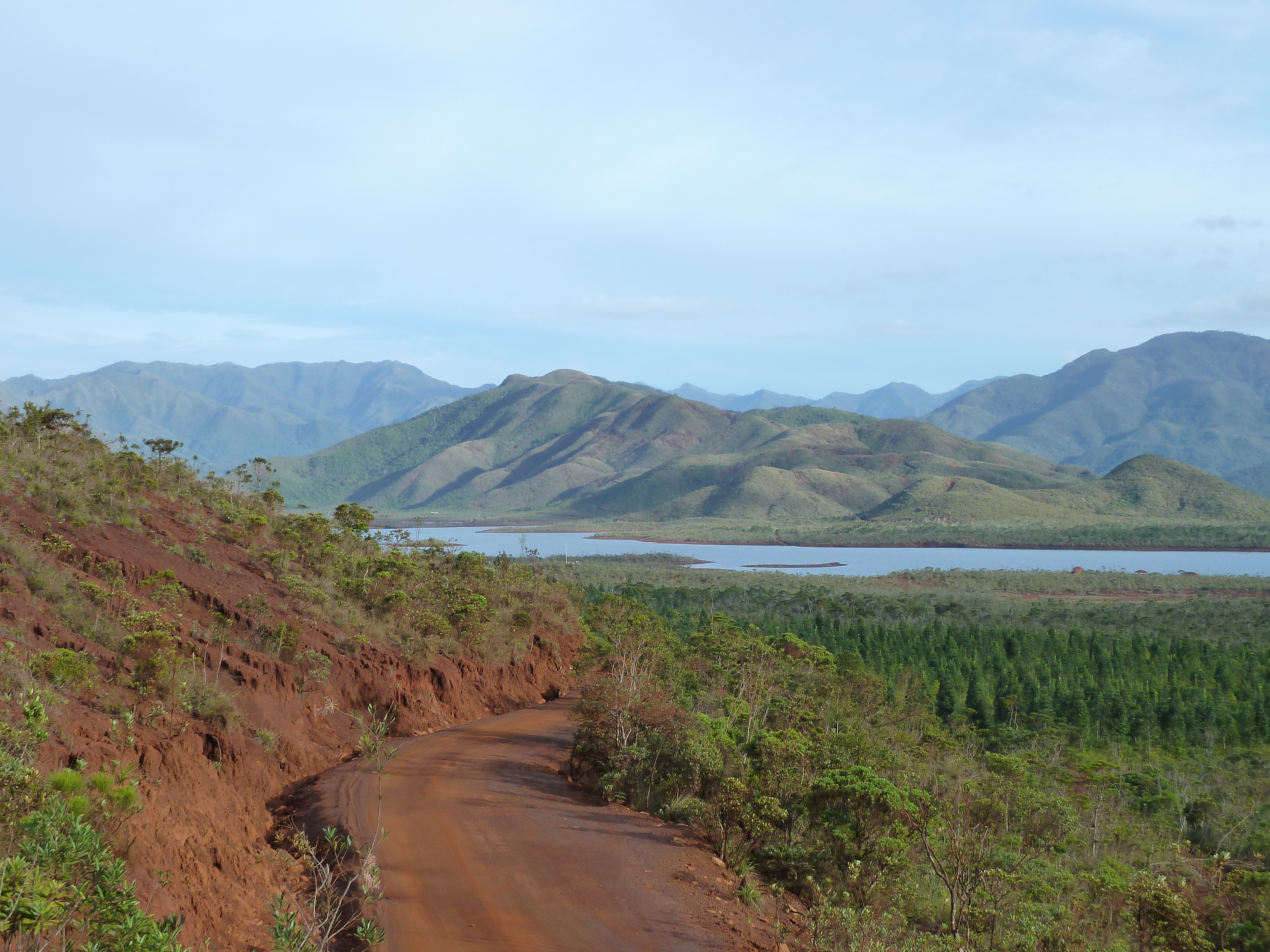 Picture New Caledonia Parc de la Riviere Bleue 2010-05 135 - Discovery Parc de la Riviere Bleue