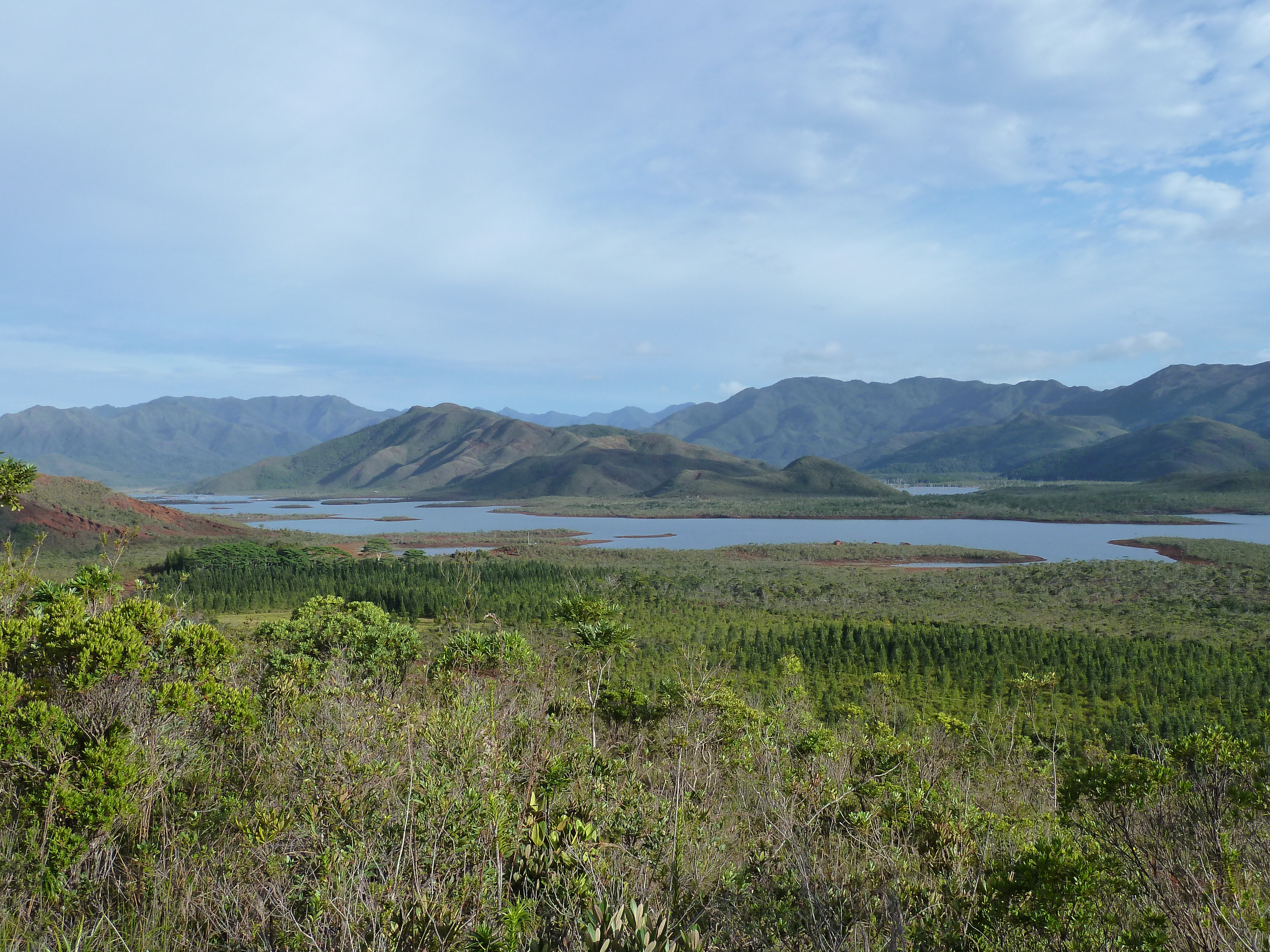 Picture New Caledonia Parc de la Riviere Bleue 2010-05 30 - Around Parc de la Riviere Bleue